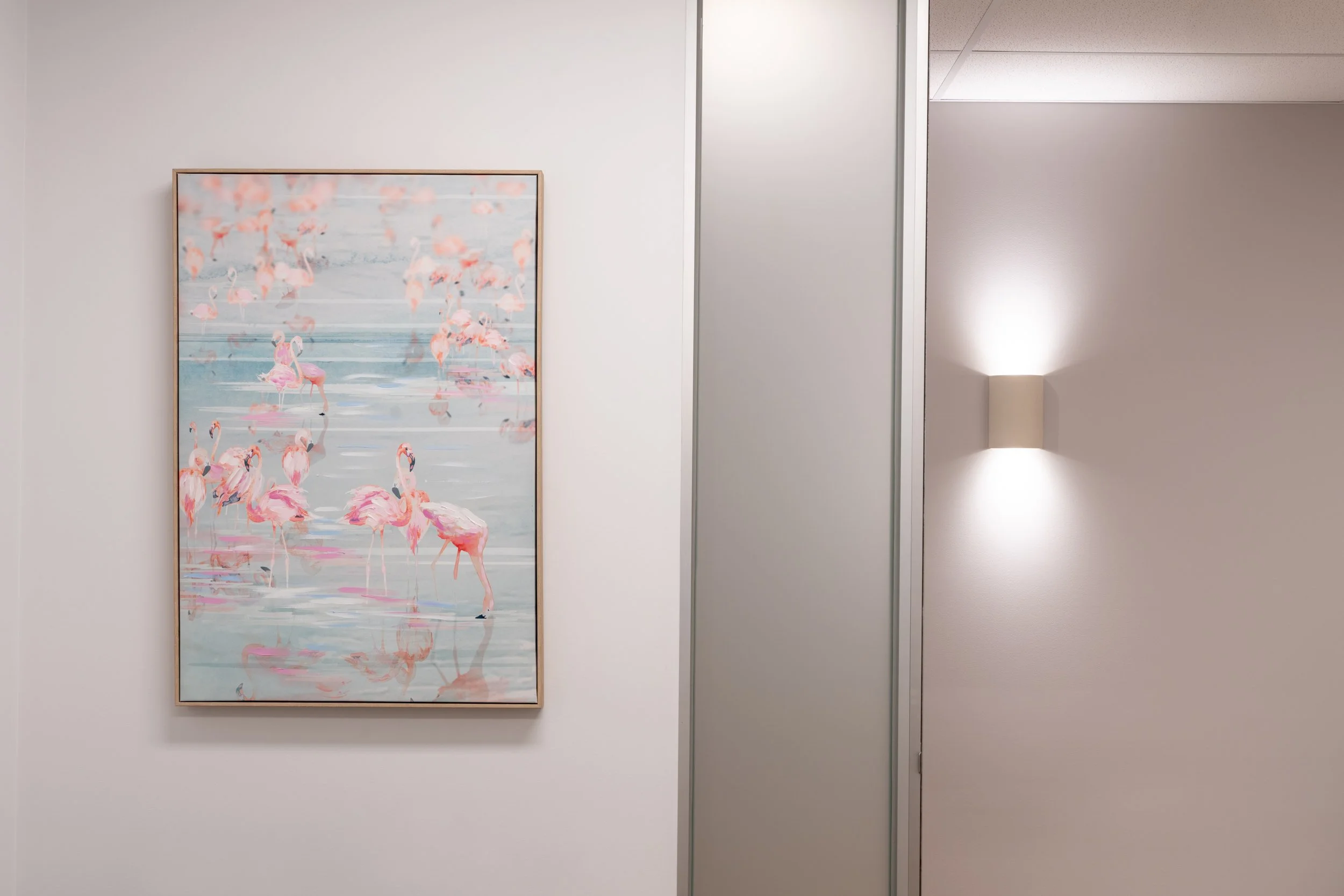 Happy Baby Clinic for Canopy Fitouts