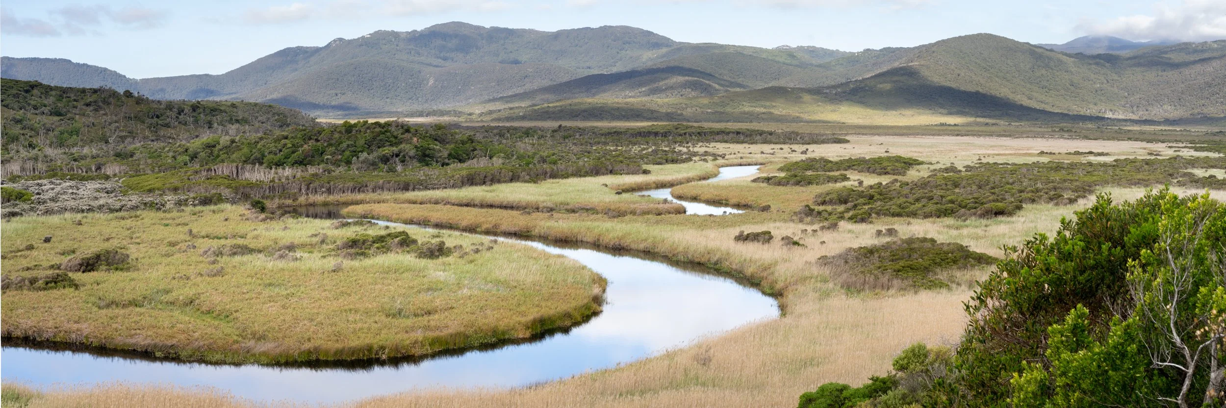 A scenic landscape featuring a winding river flowing through grassy wetlands with shrubs and trees, with mountains in the background under a partly cloudy sky.