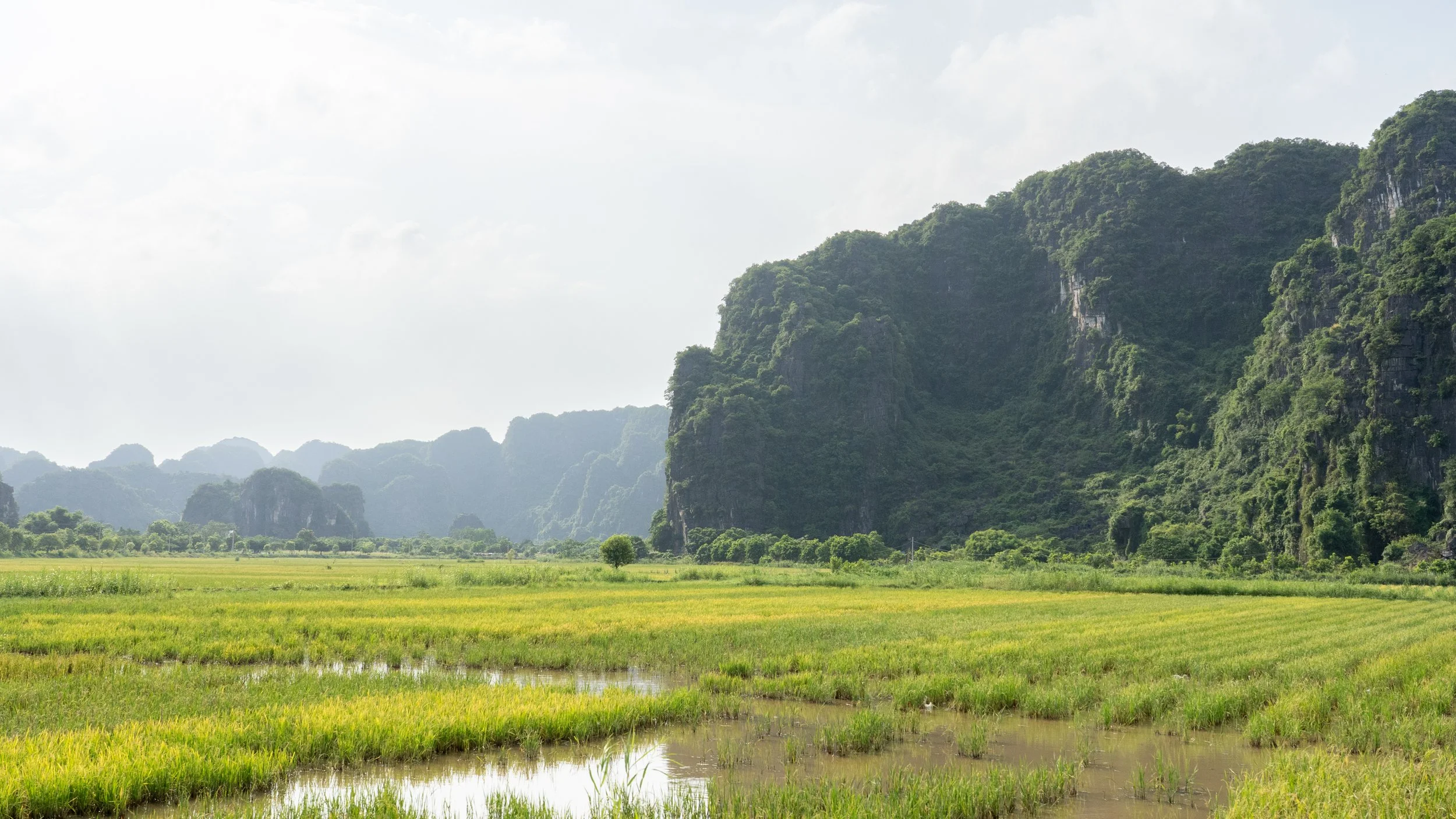 NinhBinh20260707-4-A7C01215.jpg