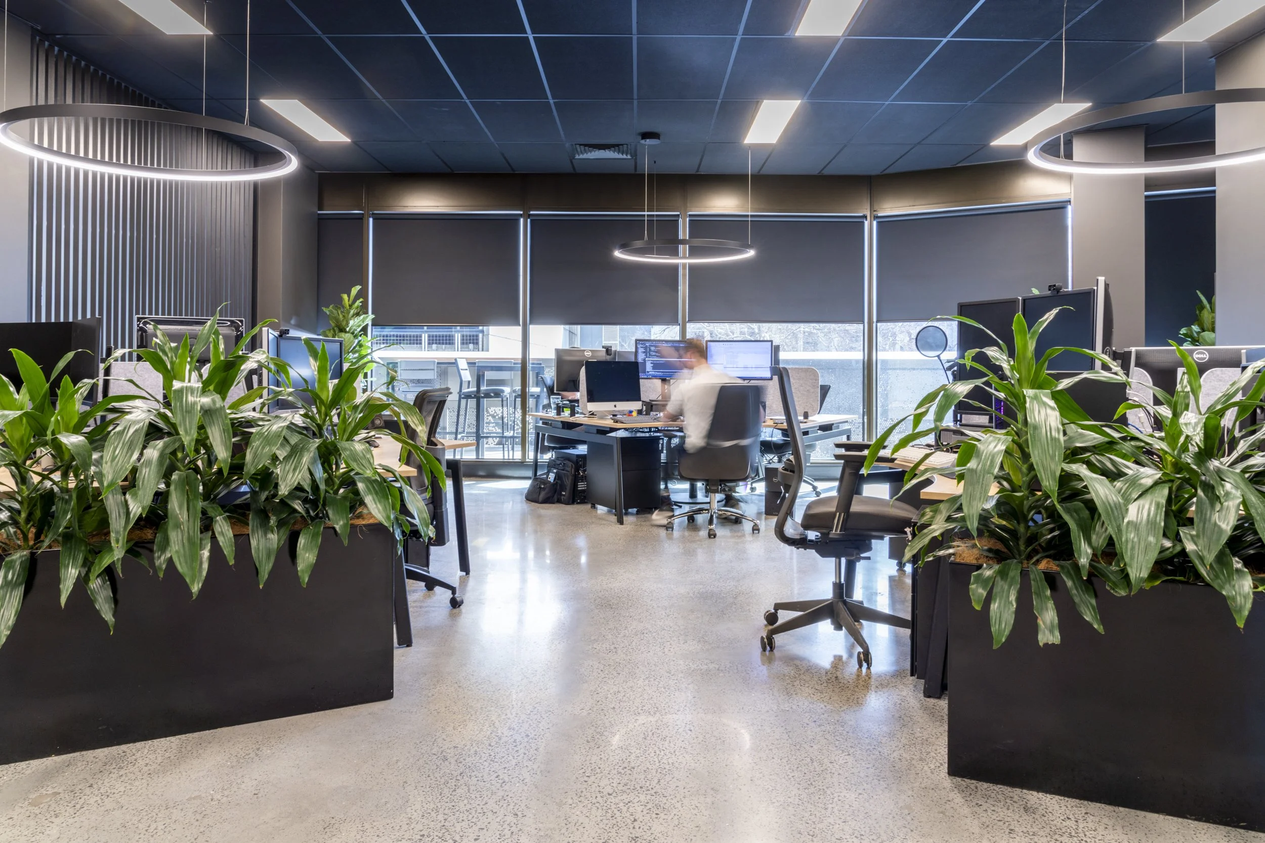 Firelight for Canopy Fitouts