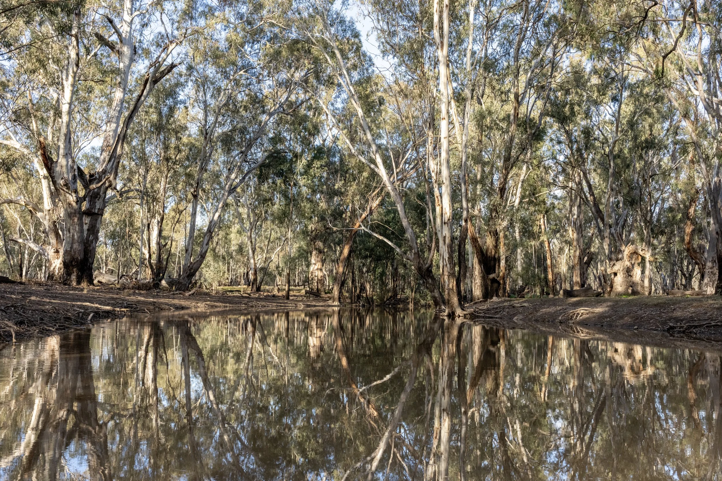 Echuca20260815-20-DSC07197.jpg