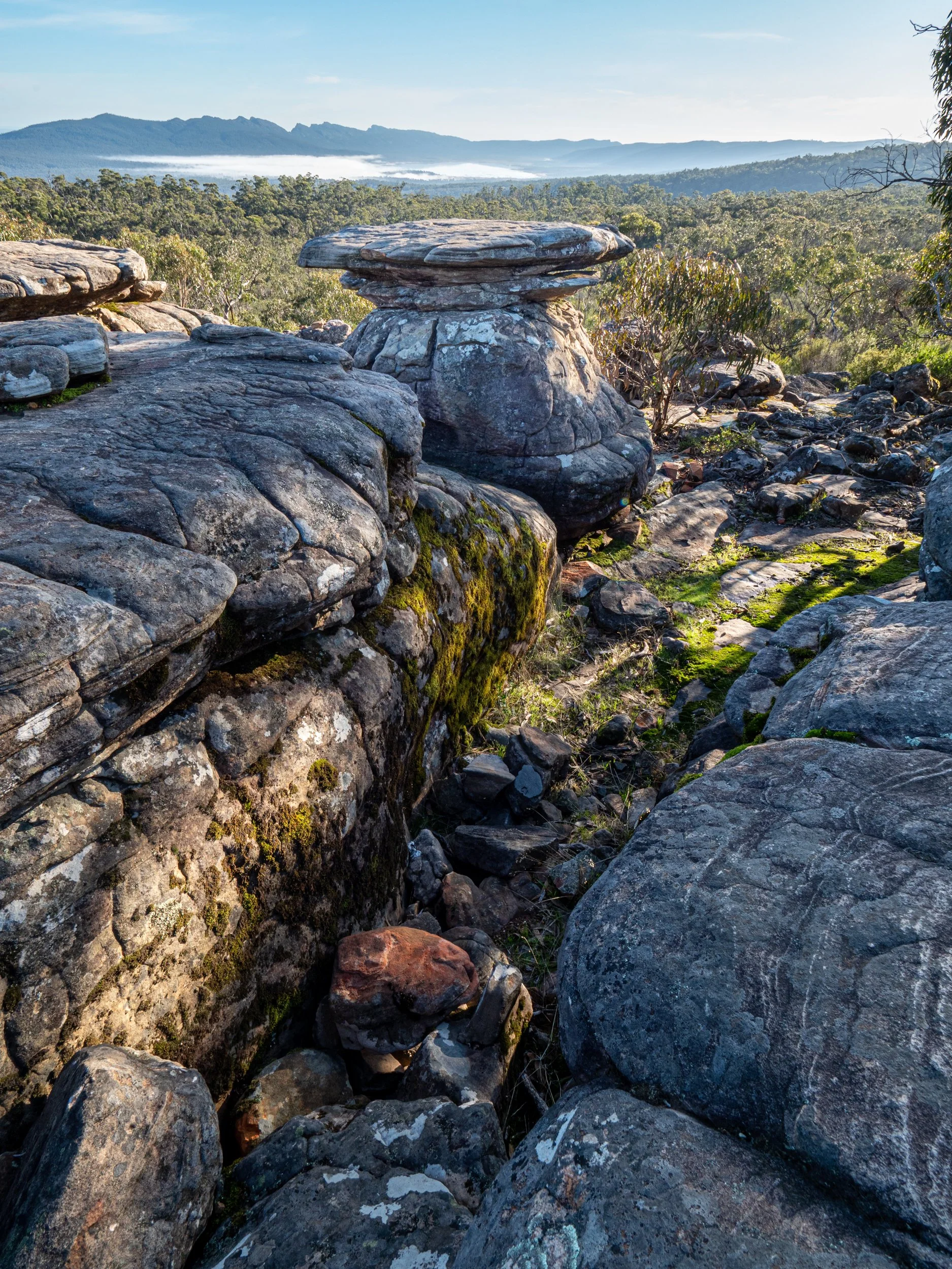 Large weathered rocks and boulders in a rocky landscape with moss and lichen, with a dense forest and mountain range in the background under a clear blue sky.
