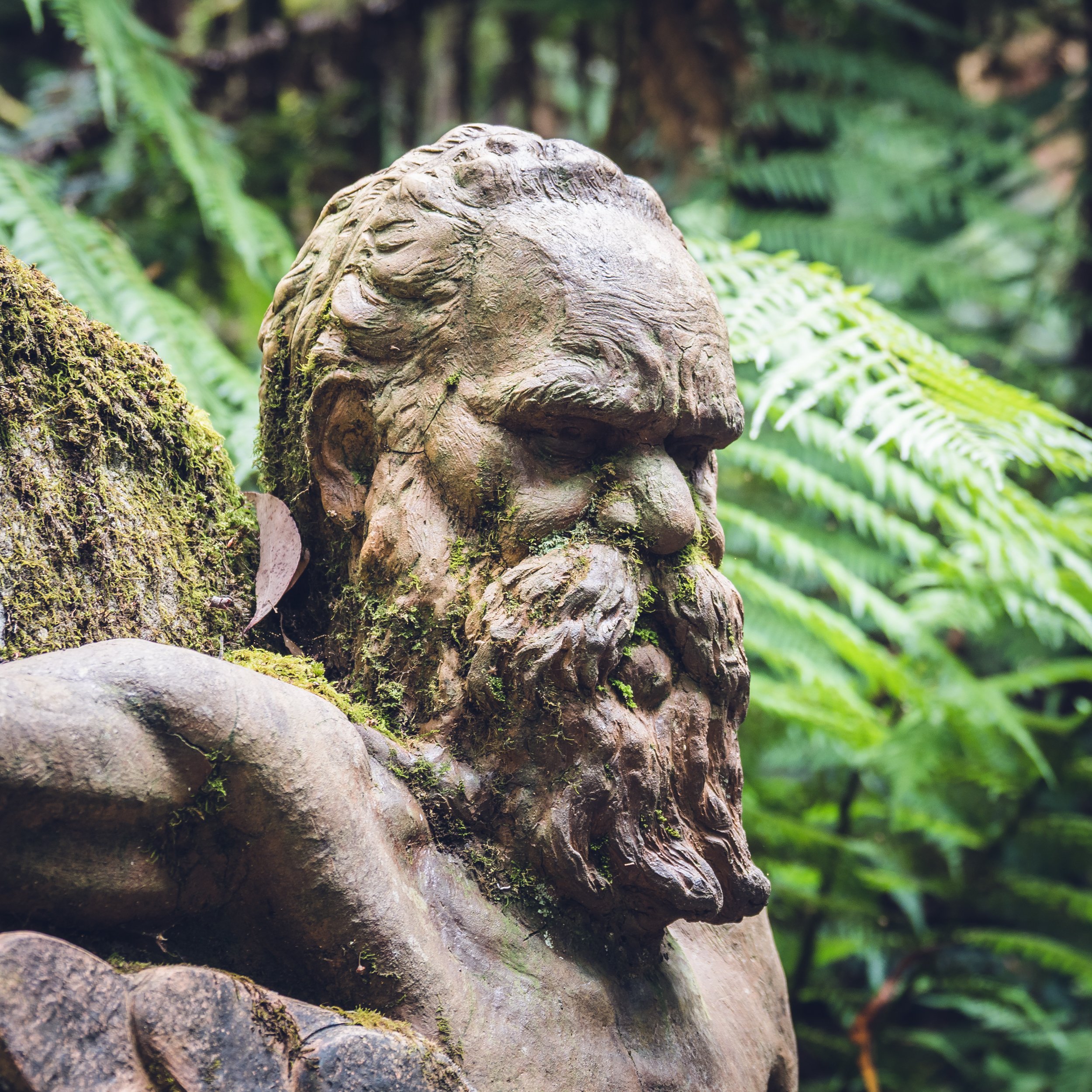 Close-up of a moss-covered wooden sculpture of a bearded man's face and shoulder, surrounded by lush green fern leaves in a forest.