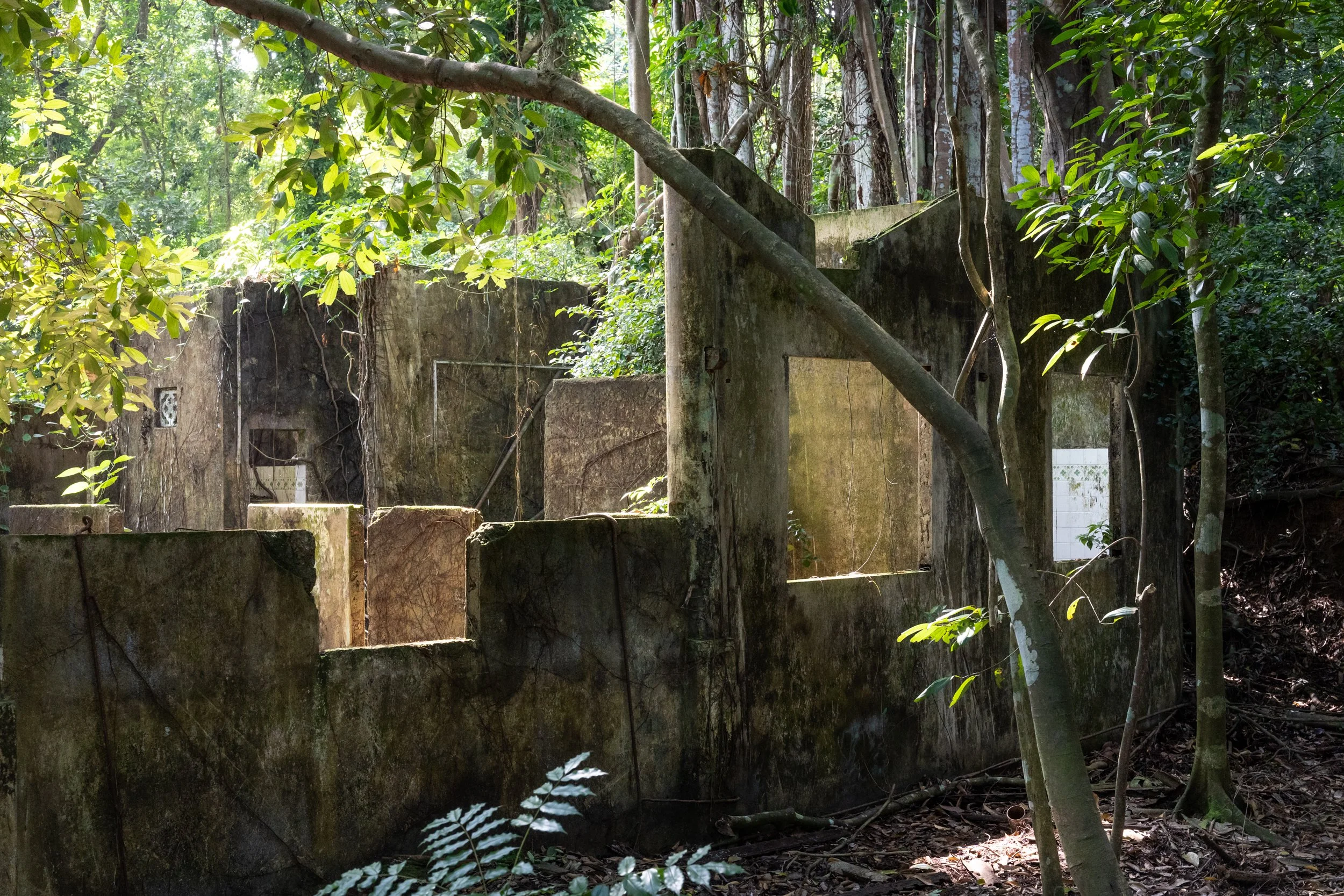Overgrown Hainan Village, Thomson Nature Park, Singapore