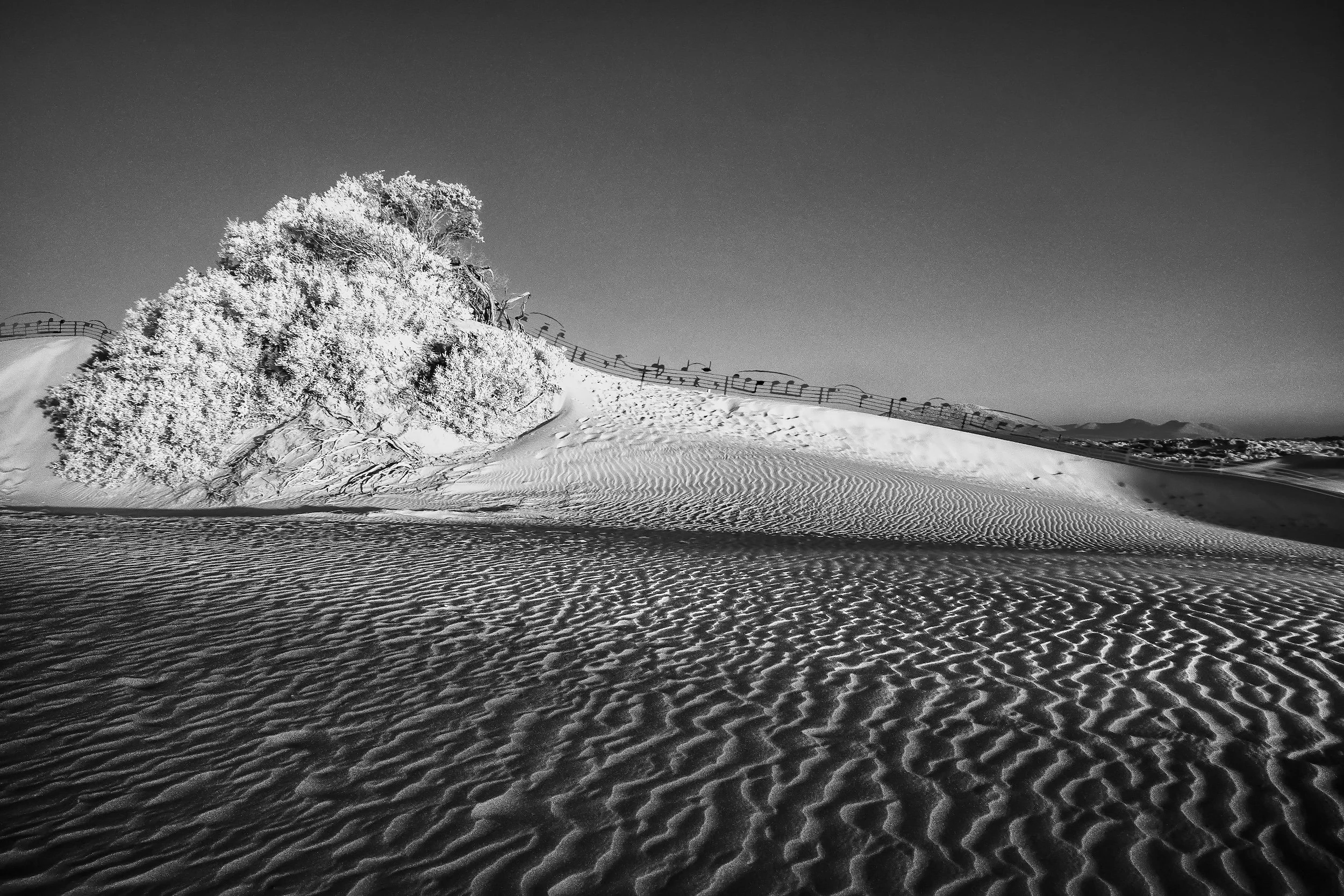 Mercury, The Winged Messenger.jpg