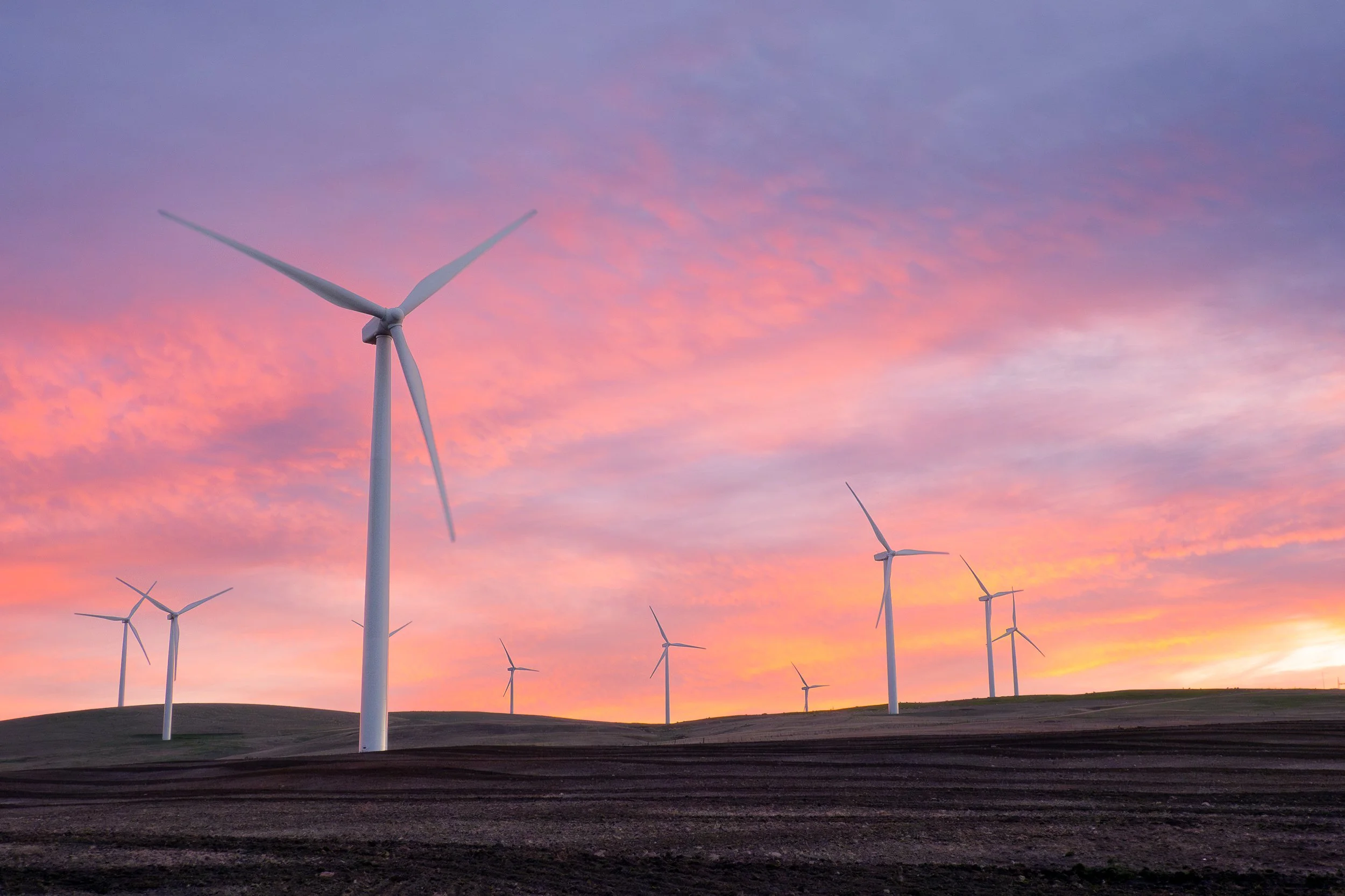 A field with multiple wind turbines at sunset, with pink and purple clouds in the sky.