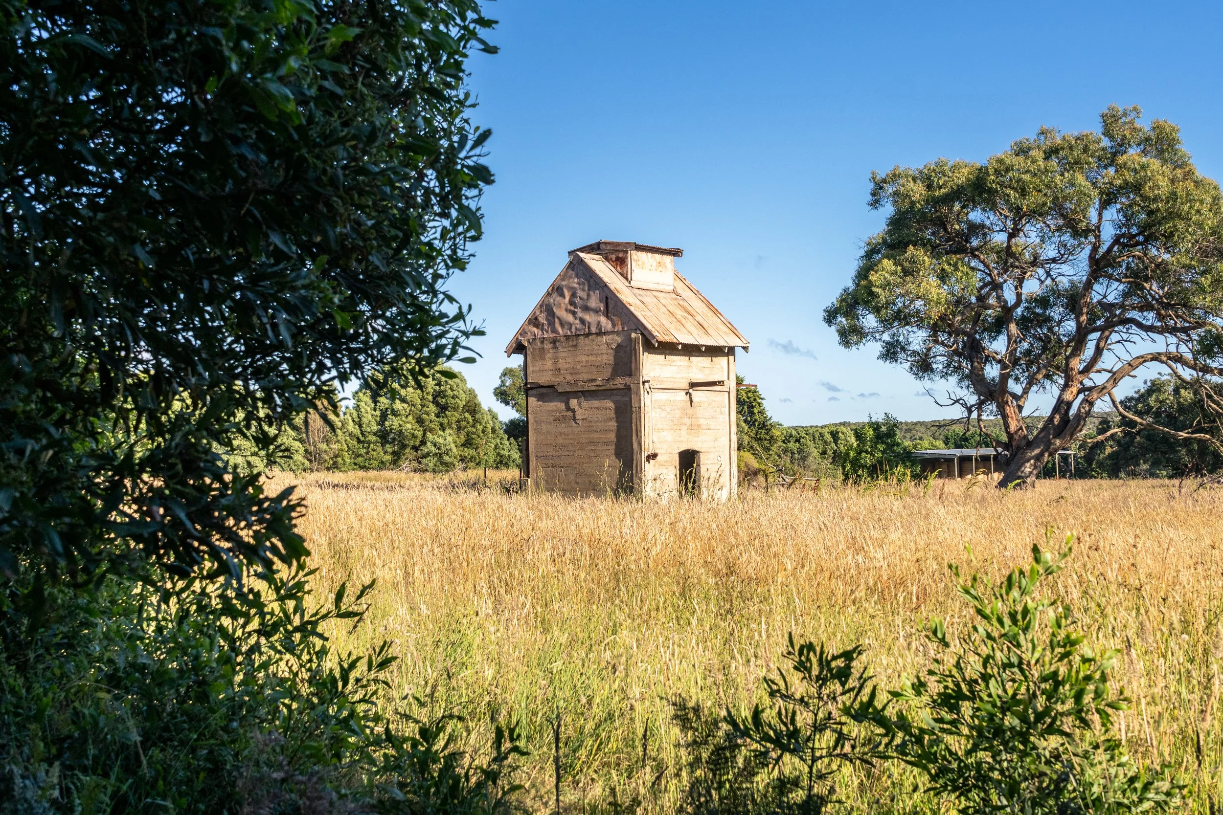 French Island20221218-DSC06517.jpg