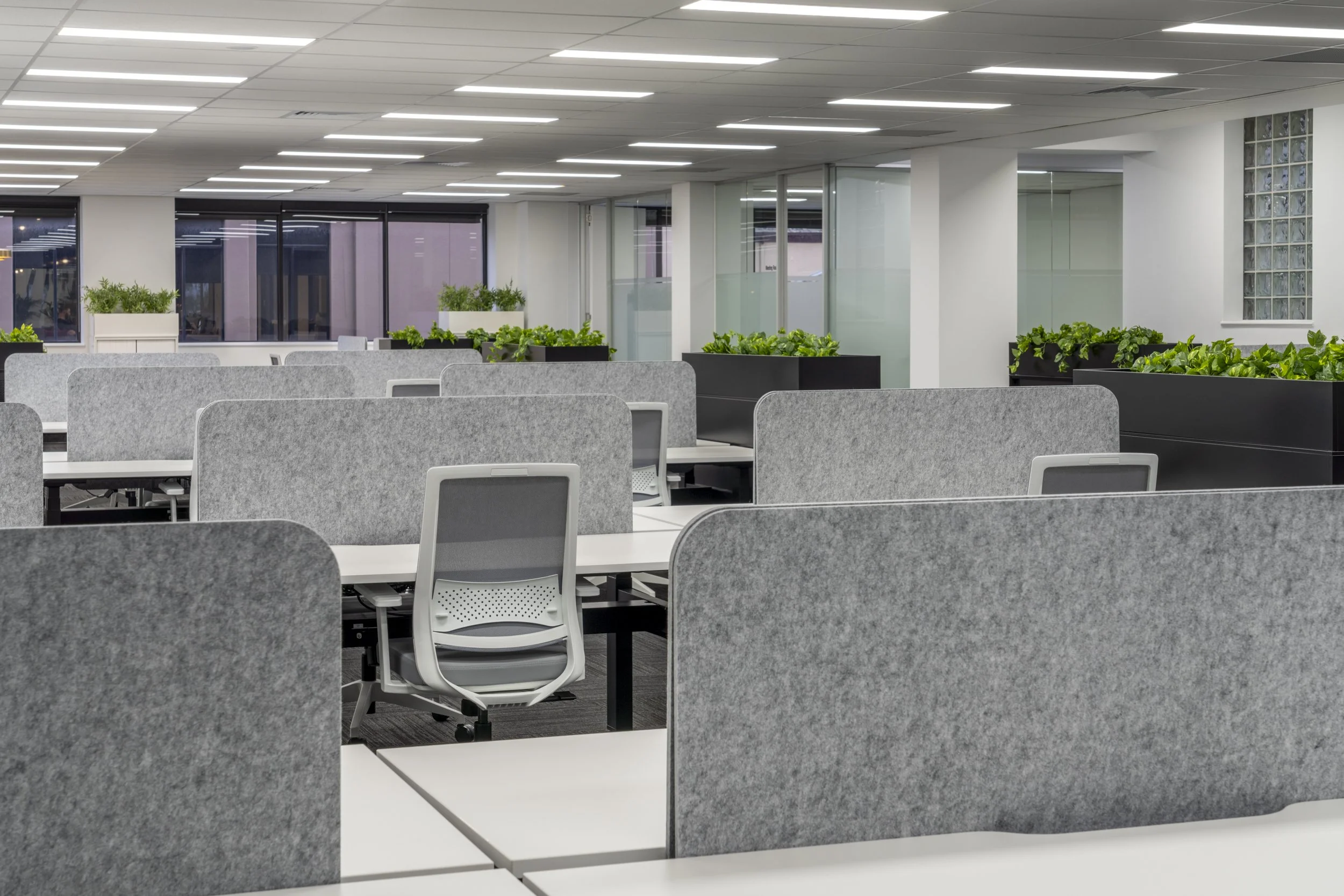 First Contact for Canopy Fitouts