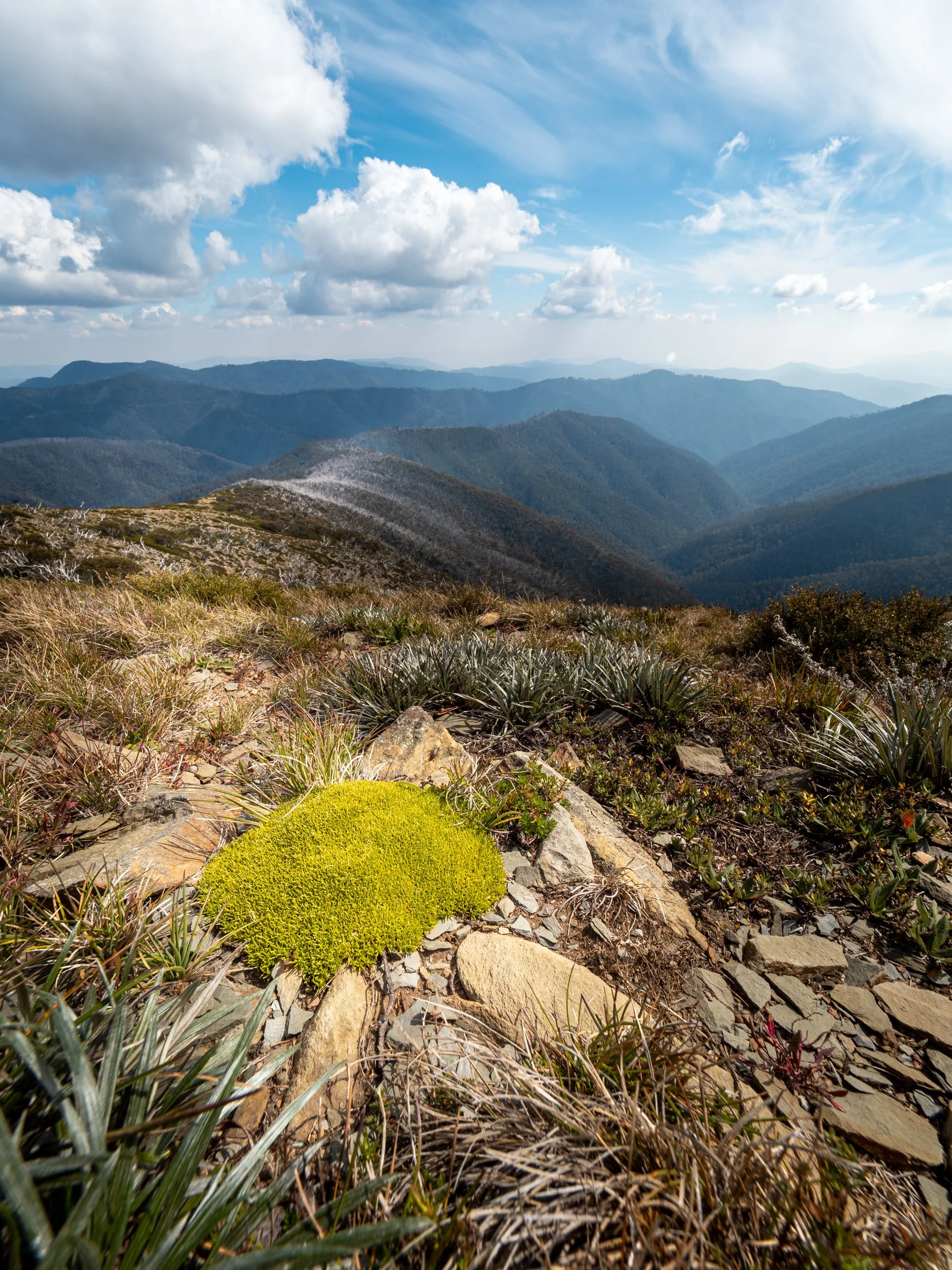 Danny's Lookout20200328-P3280037.jpg