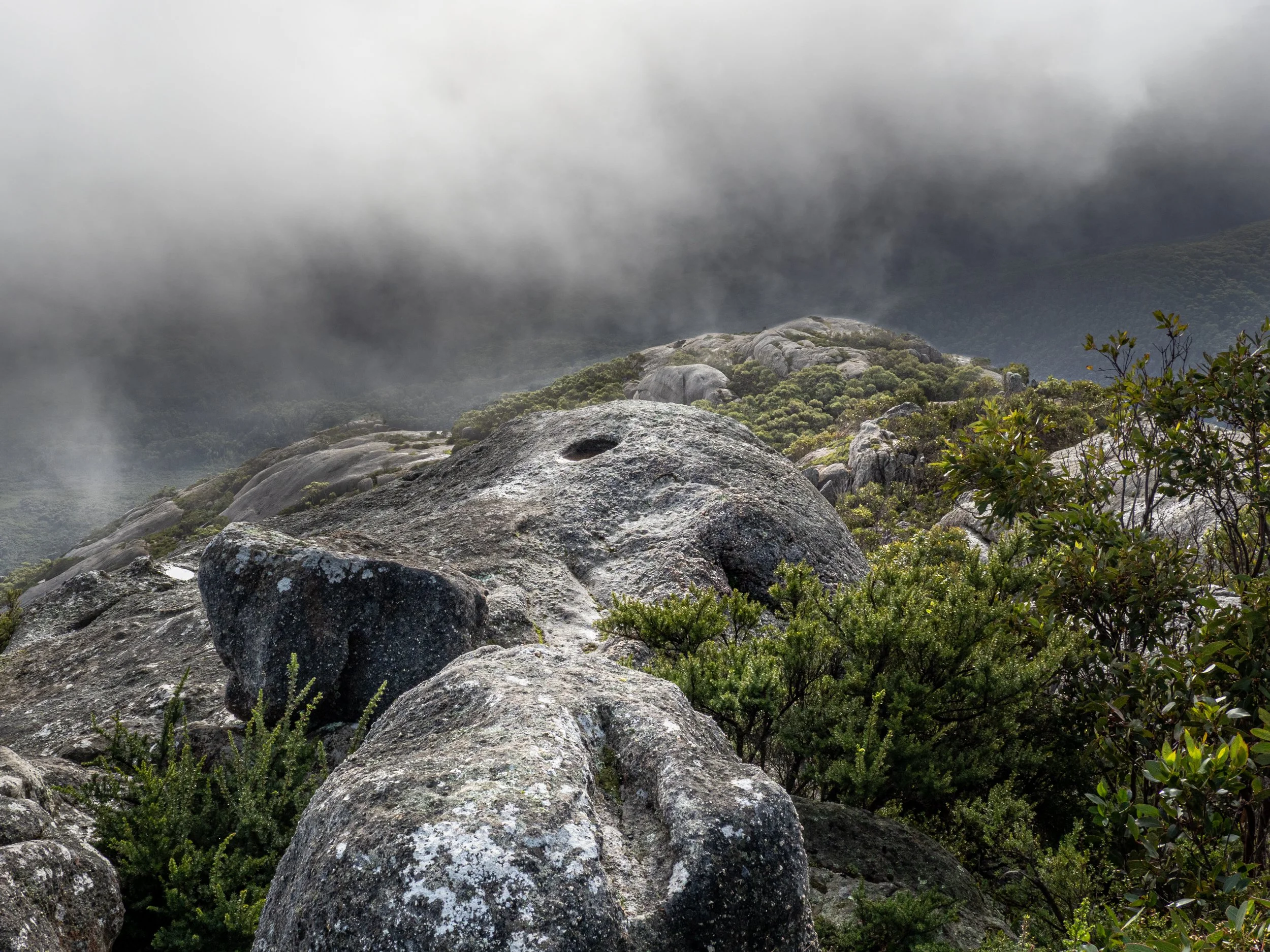 Mountain landscape with large rocks, dense green foliage, and foggy clouds in the background.
