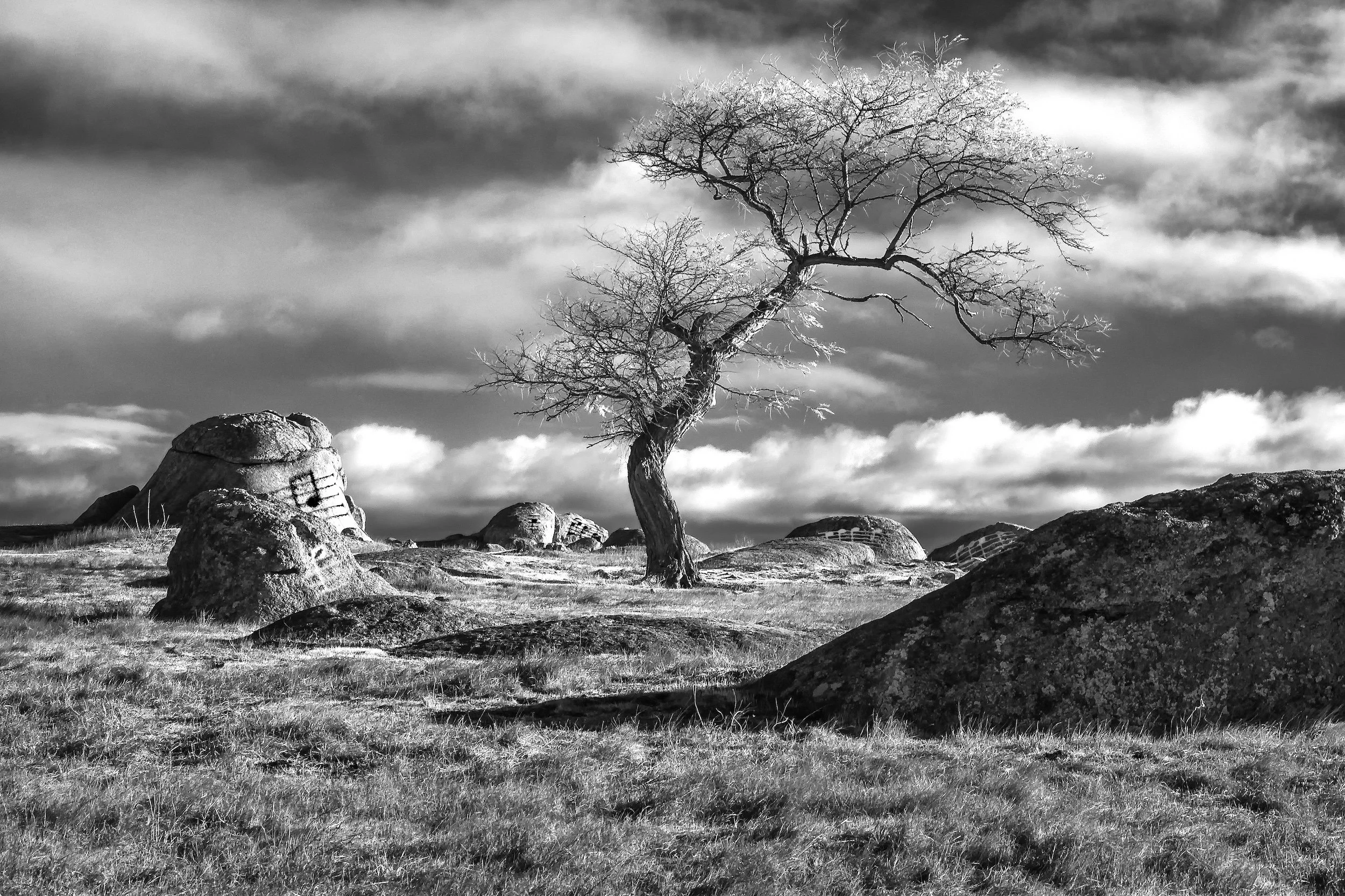 Jupiter, The Bringer of Jollity.jpg