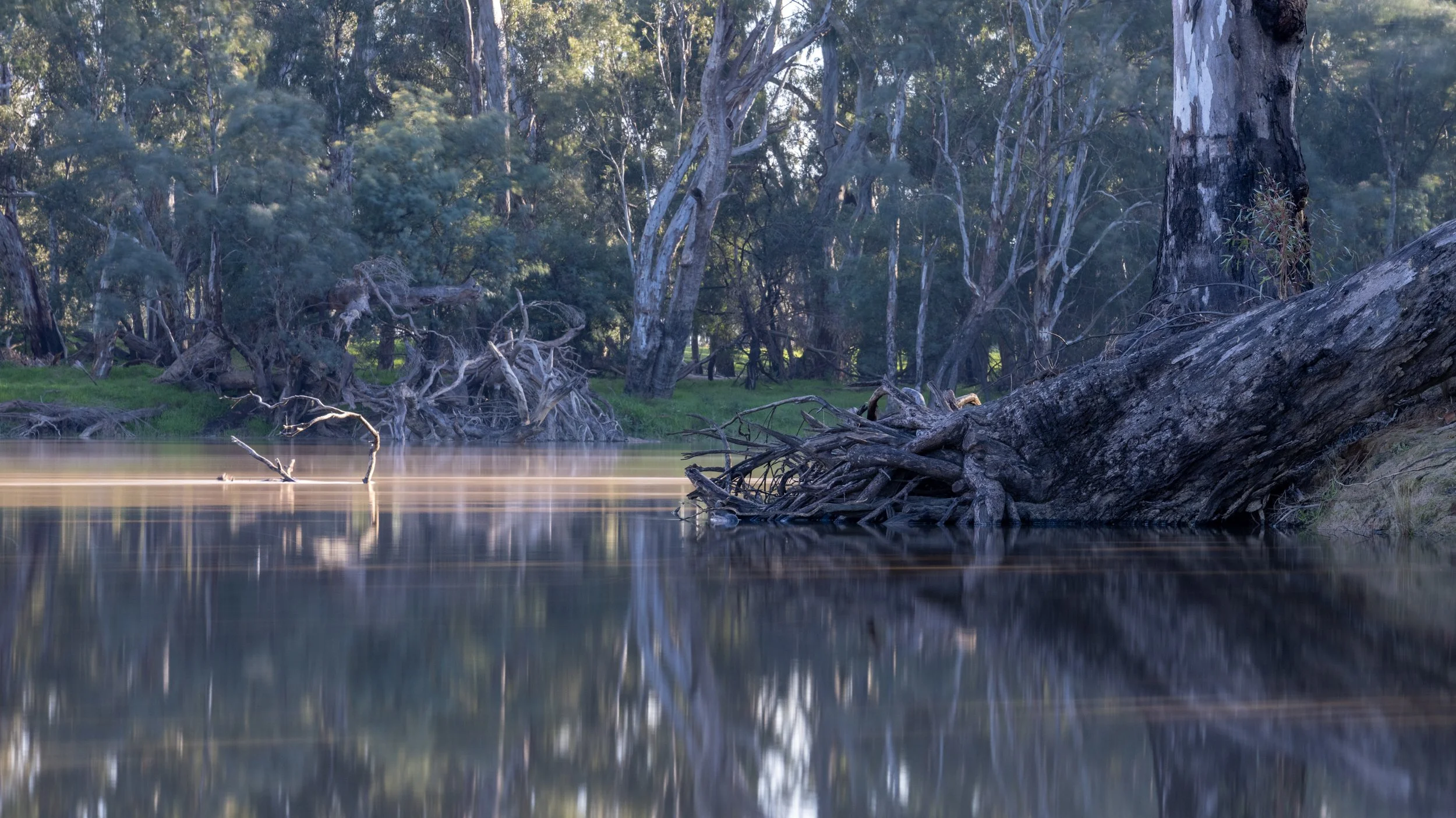Echuca20260816-37-DSC07297.jpg