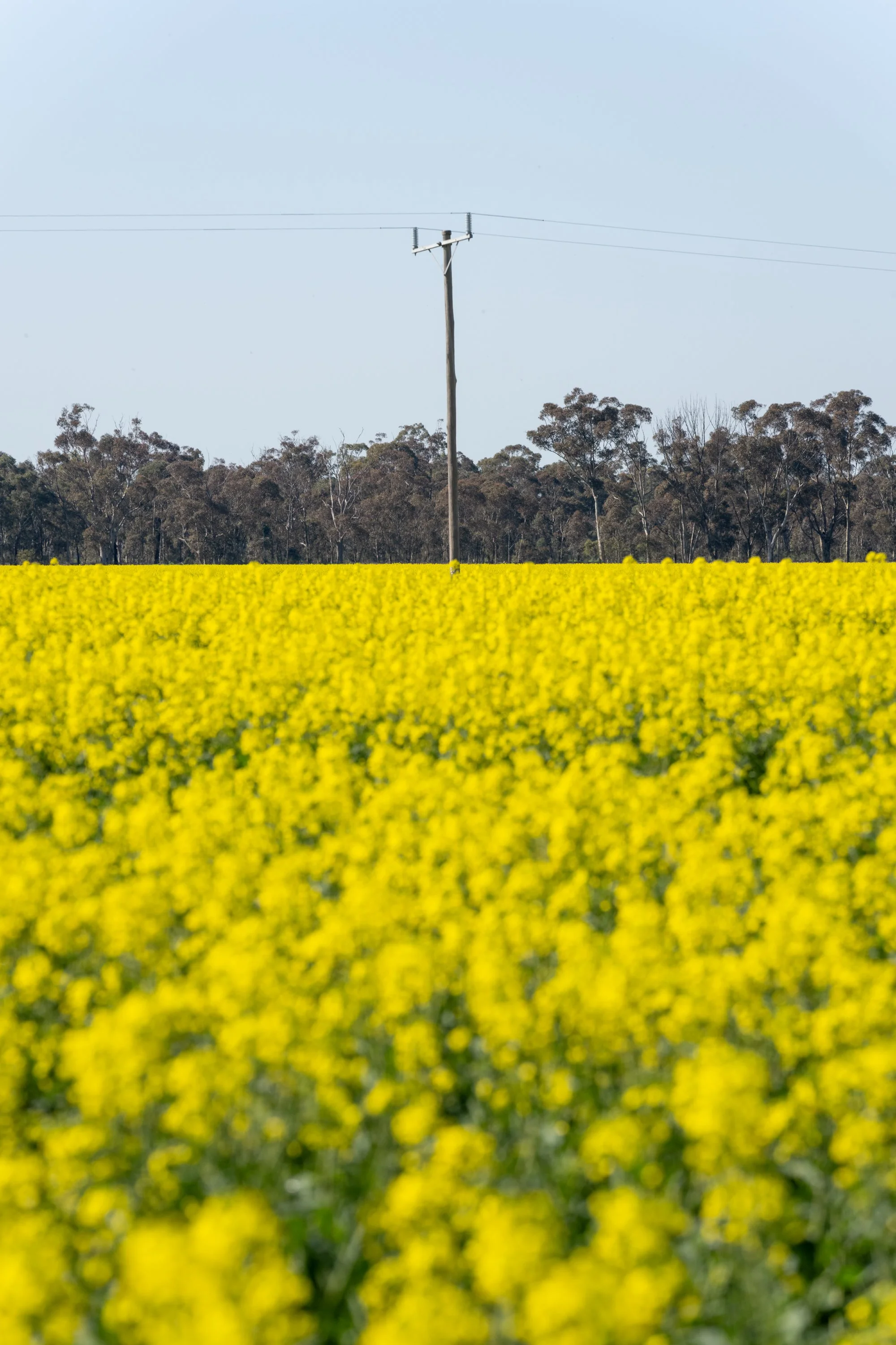 Echuca20260816-42-DSC07358.jpg