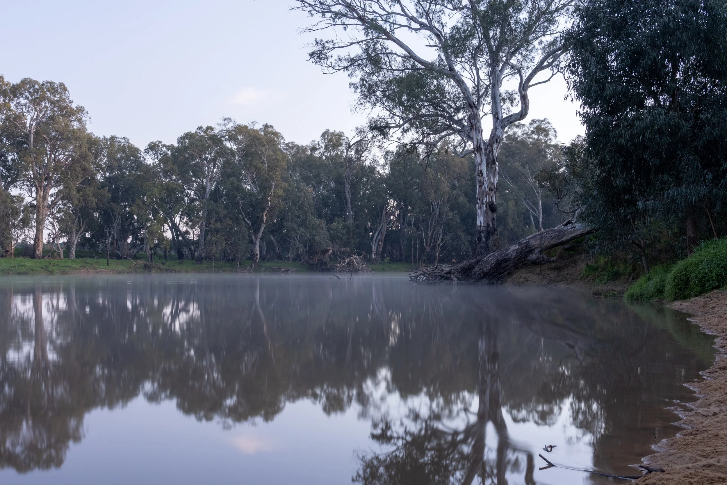 Echuca20260816-30-DSC07251.jpg