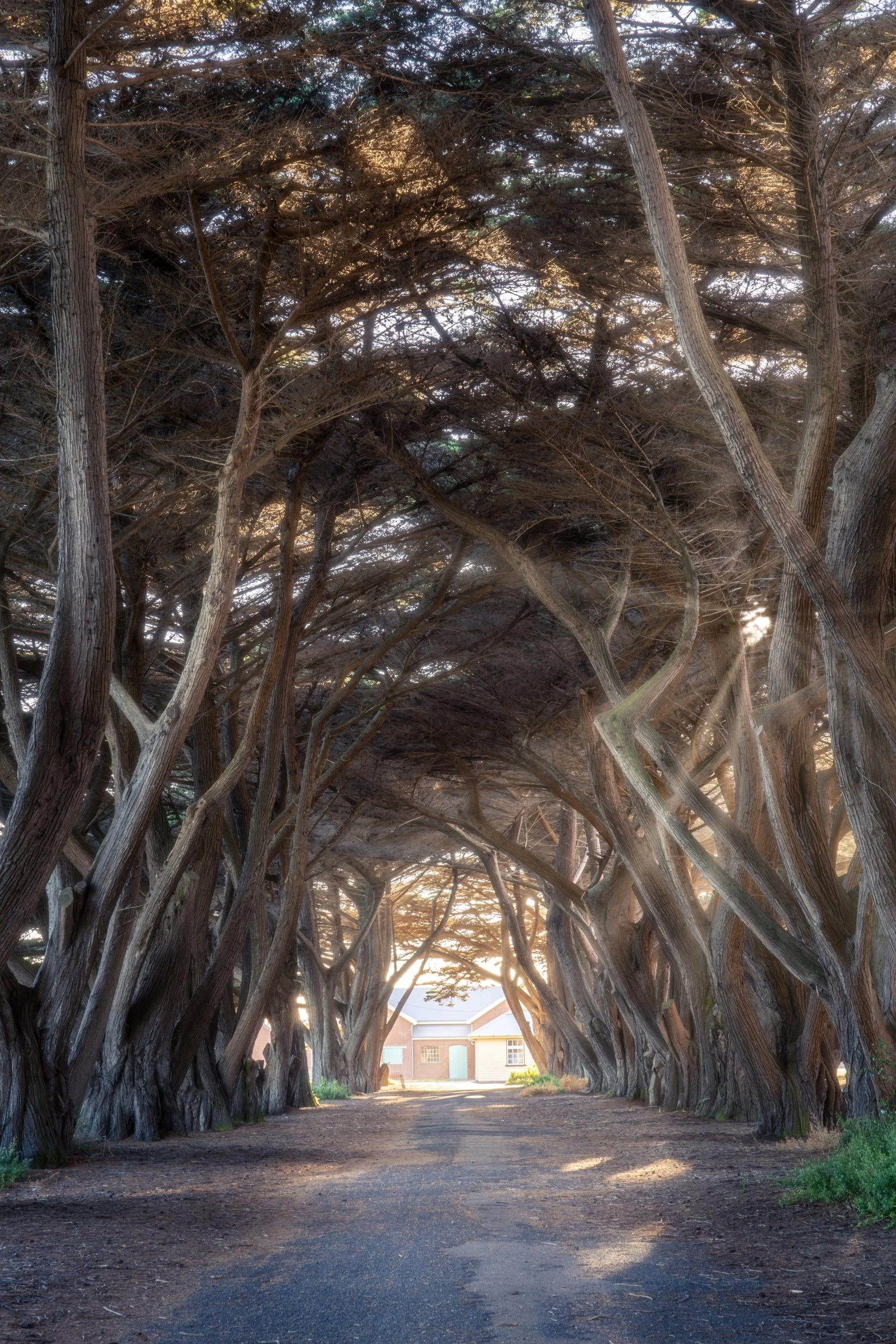 Quarantine Station20210110-DSC01048-HDR-Edit-Edit.jpg