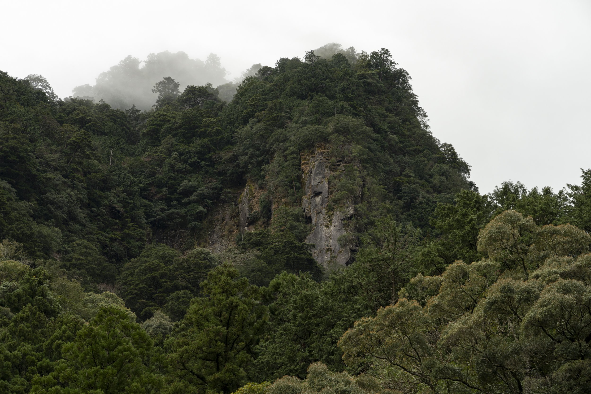 Kumano Kodo Kaatsura-DSC04922.jpg