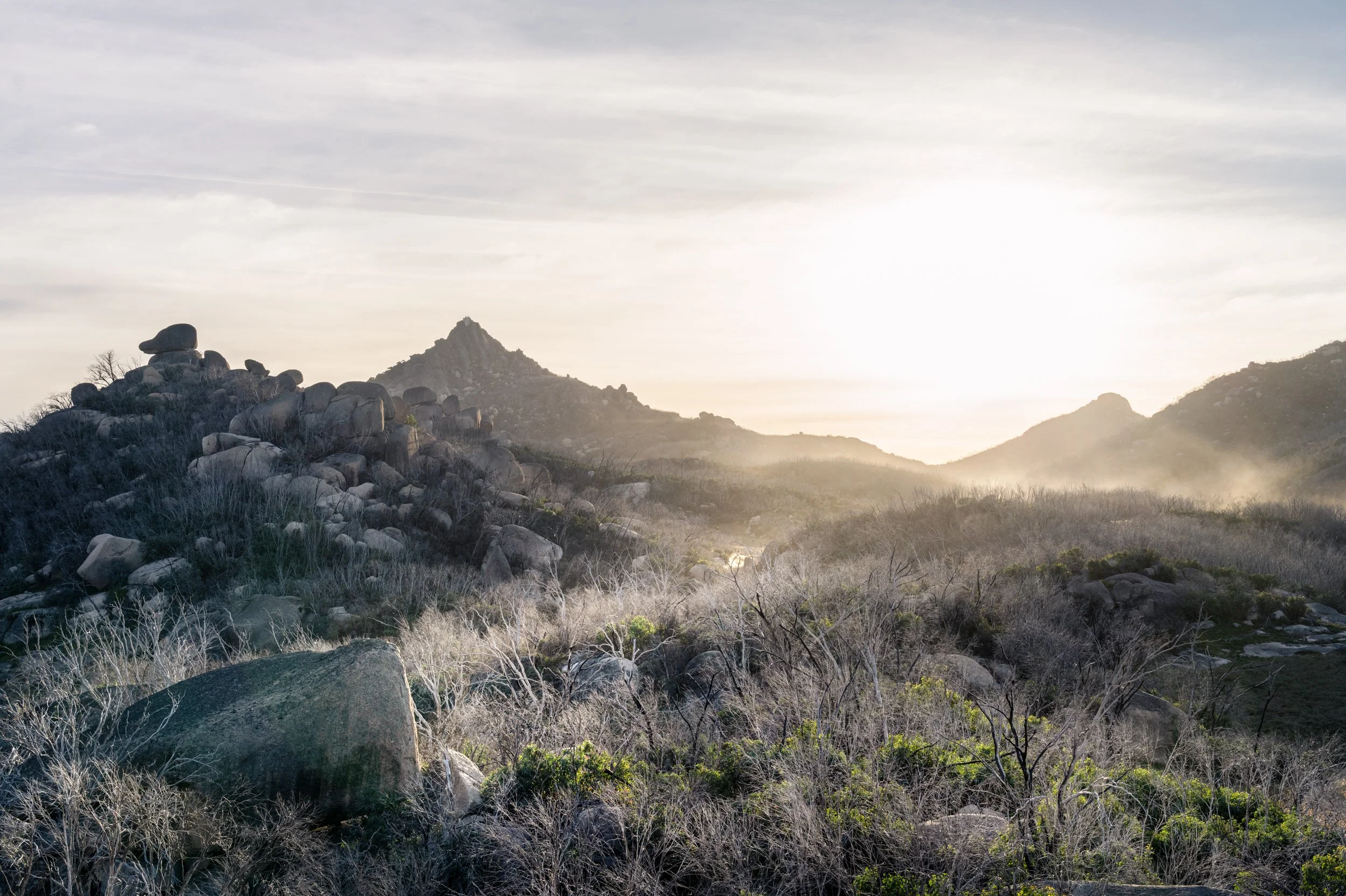 Buffalo Plain20240127-DSC07021-Edit.jpg