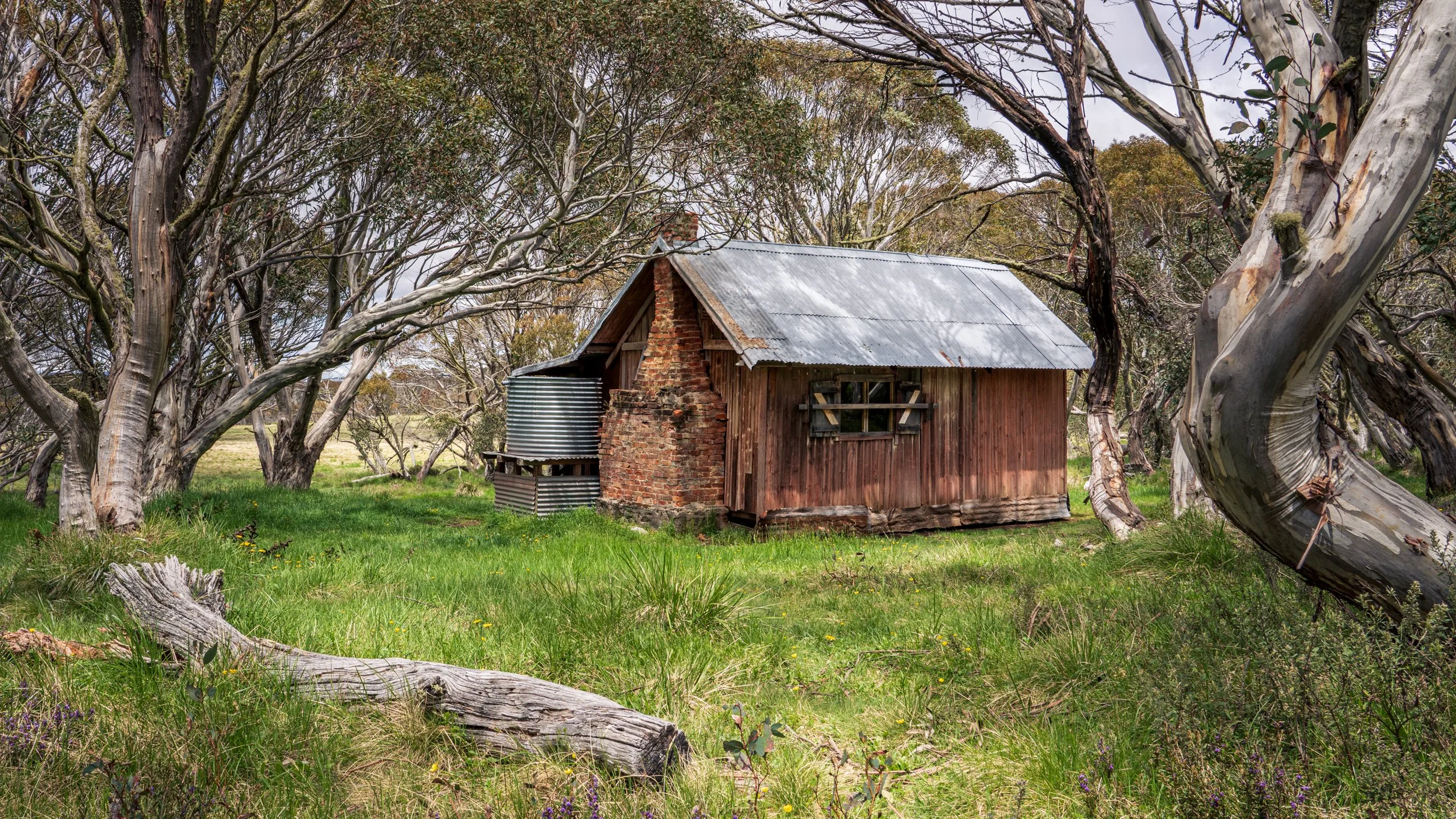 Dinner Plane20201114-DSC07827.jpg