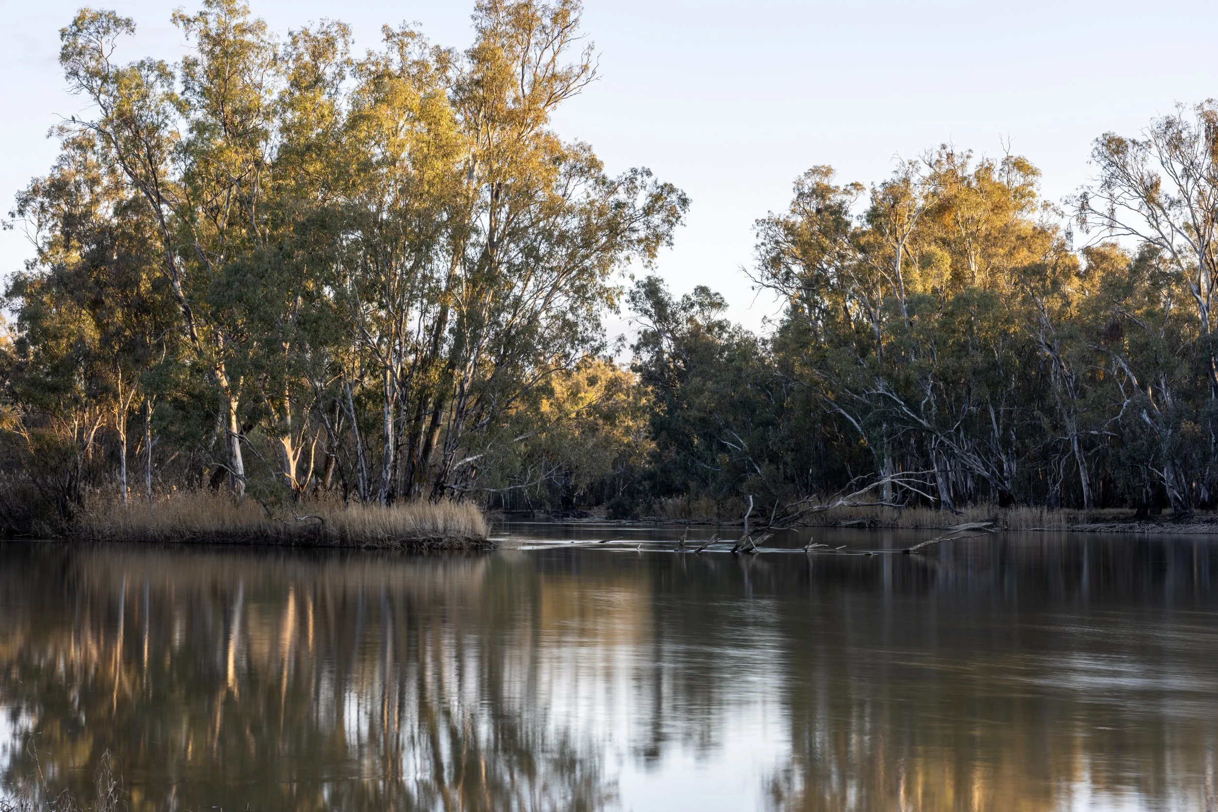 Echuca20260815-27-DSC07242.jpg