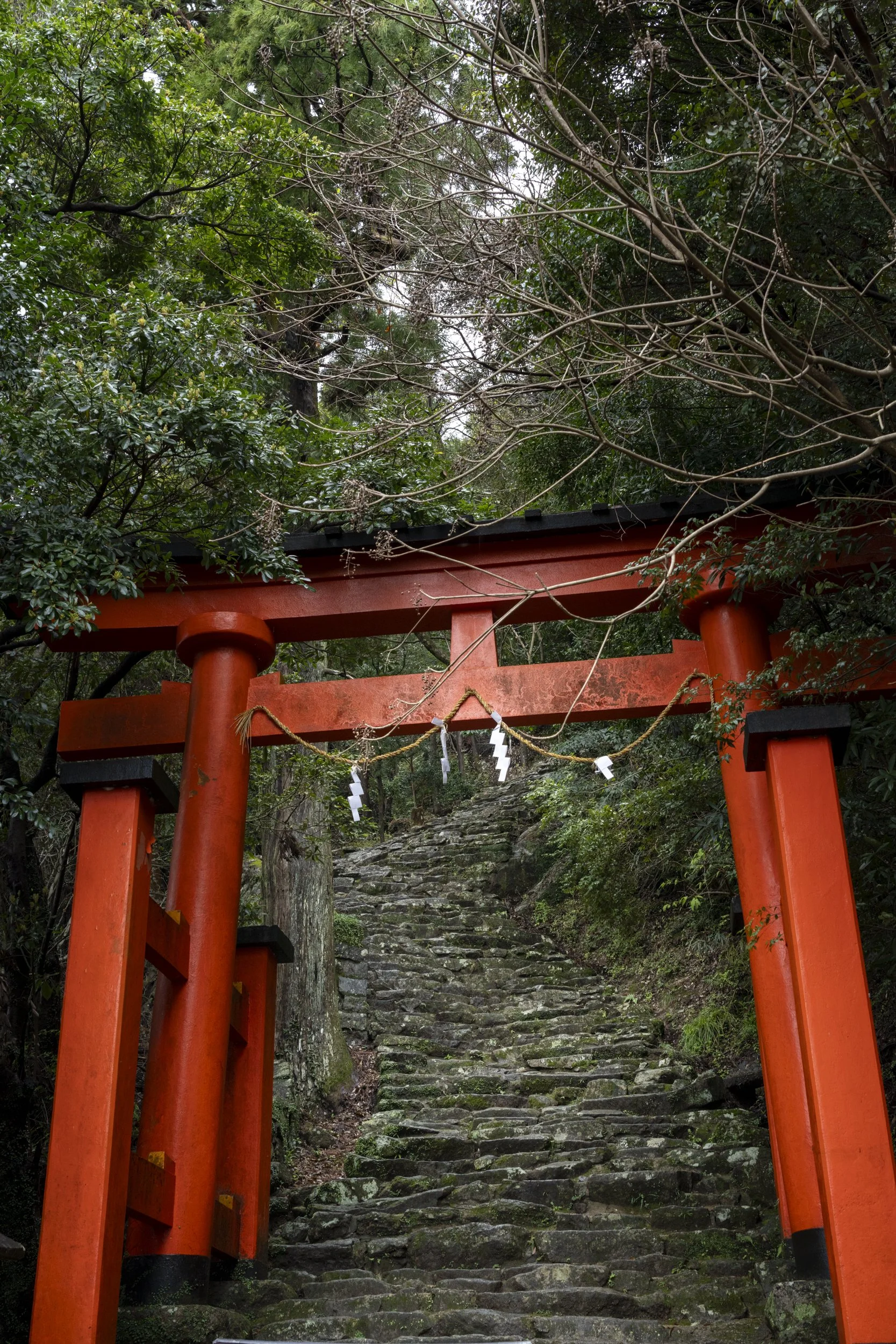 Kumano Kodo Kaatsura-DSC04948.jpg
