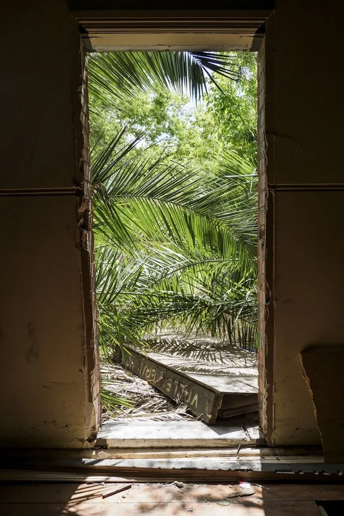 g21fsvxptd-6sm-ds3yp﹖