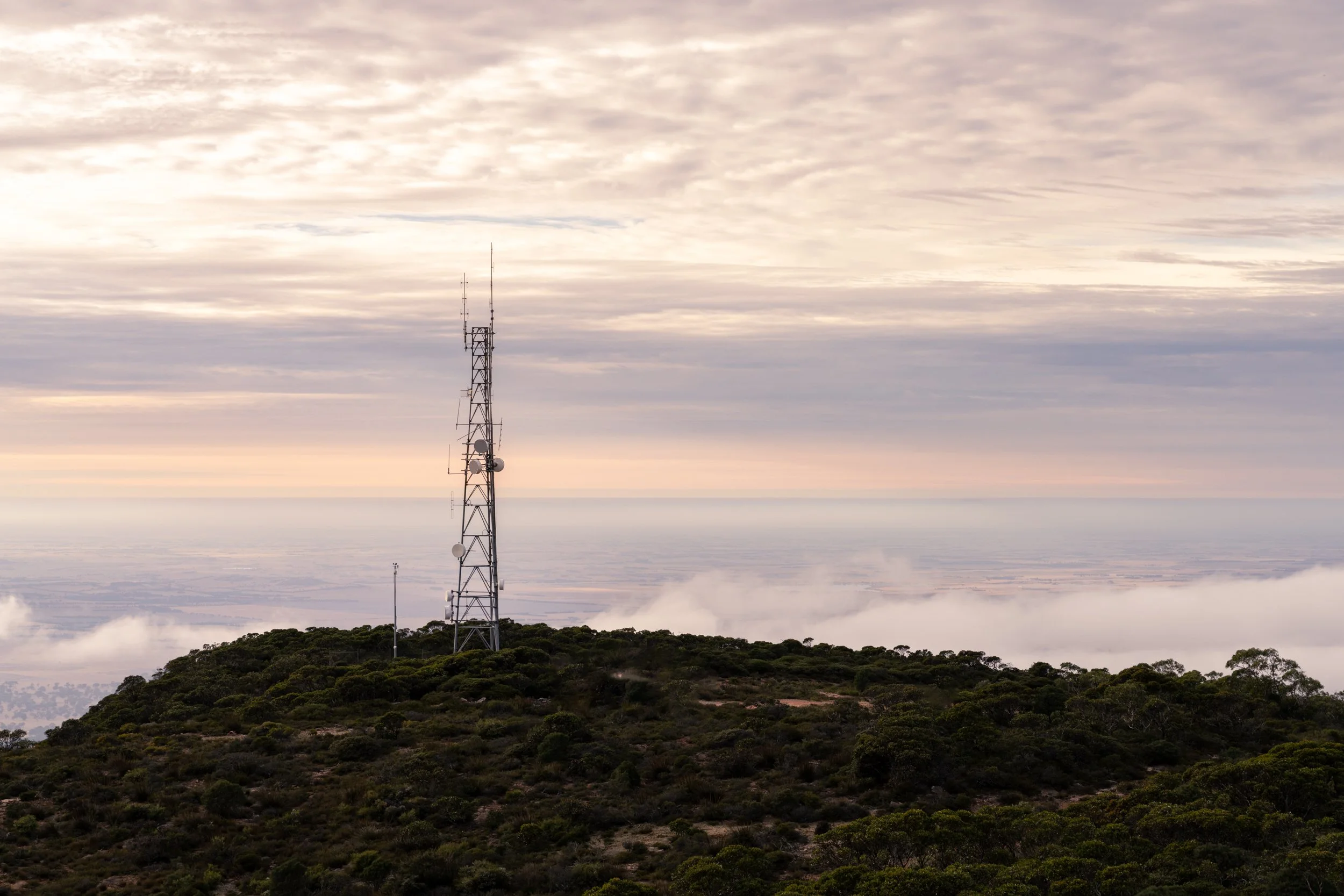 A hilltop with green shrubbery and a telecommunications tower against a cloudy sky during sunset or sunrise.