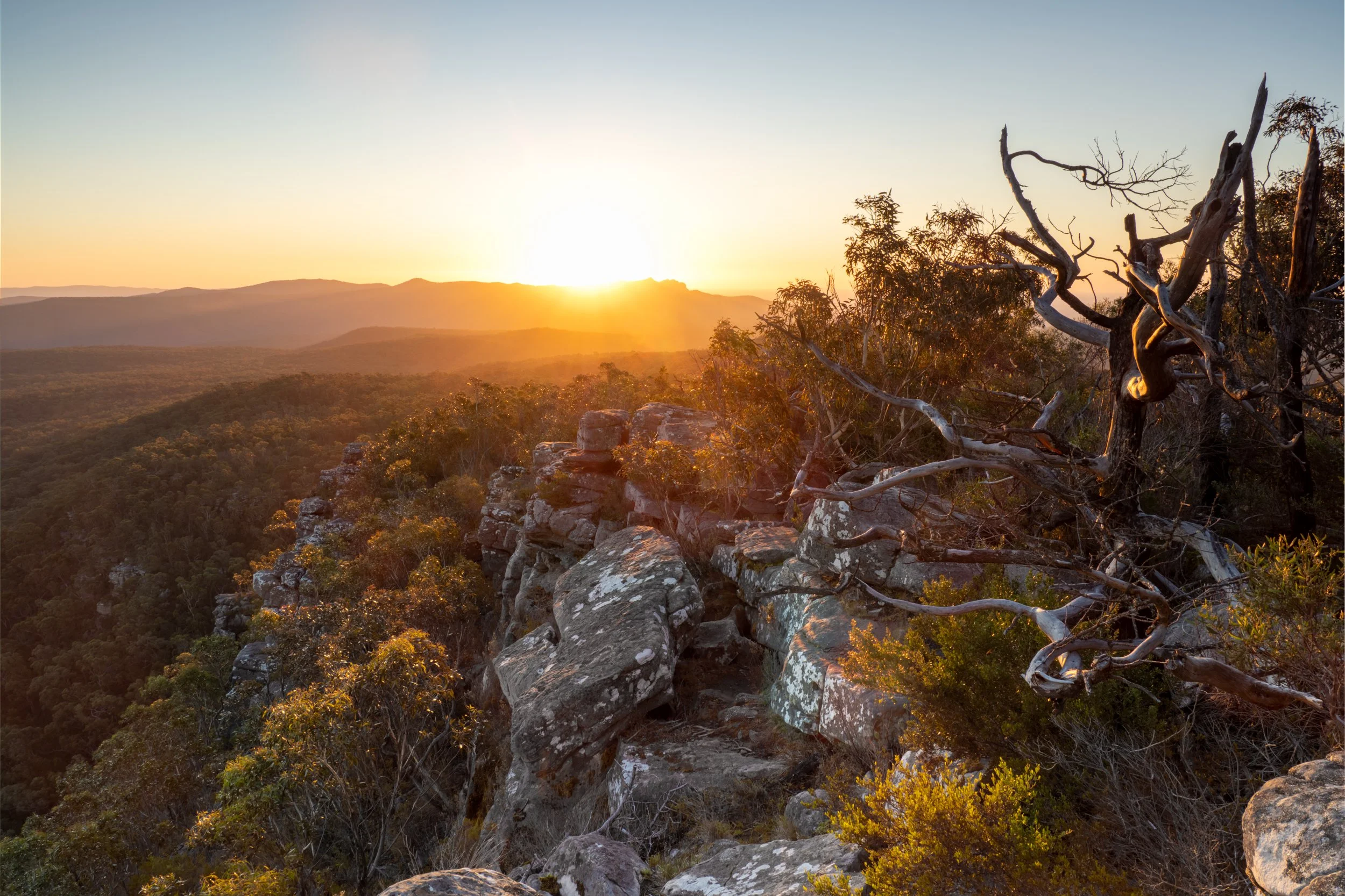 Sunset over a mountainous landscape with rocky cliffs and sparse trees in the foreground, casting golden light.