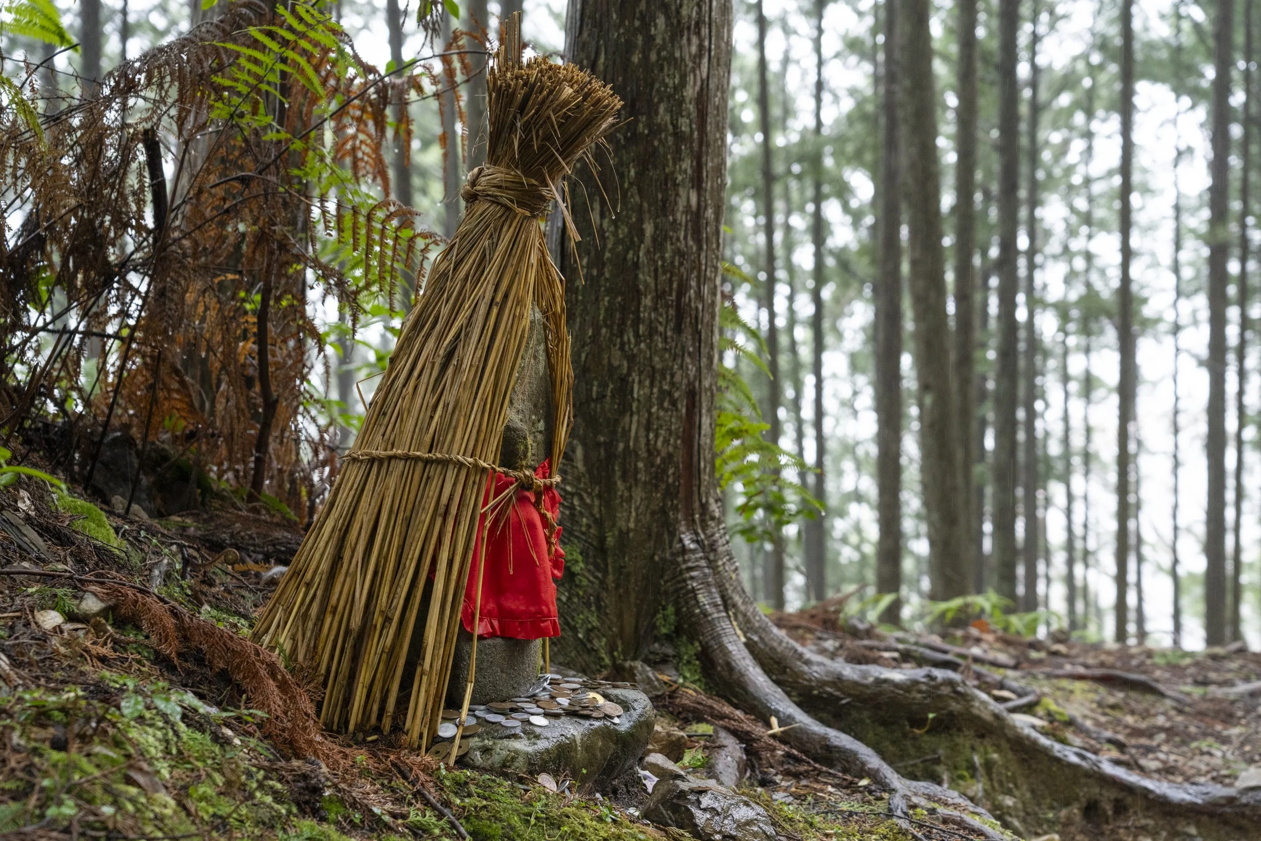 Kumano Kodo Kawayu to Yuminone-DSC04787.jpg