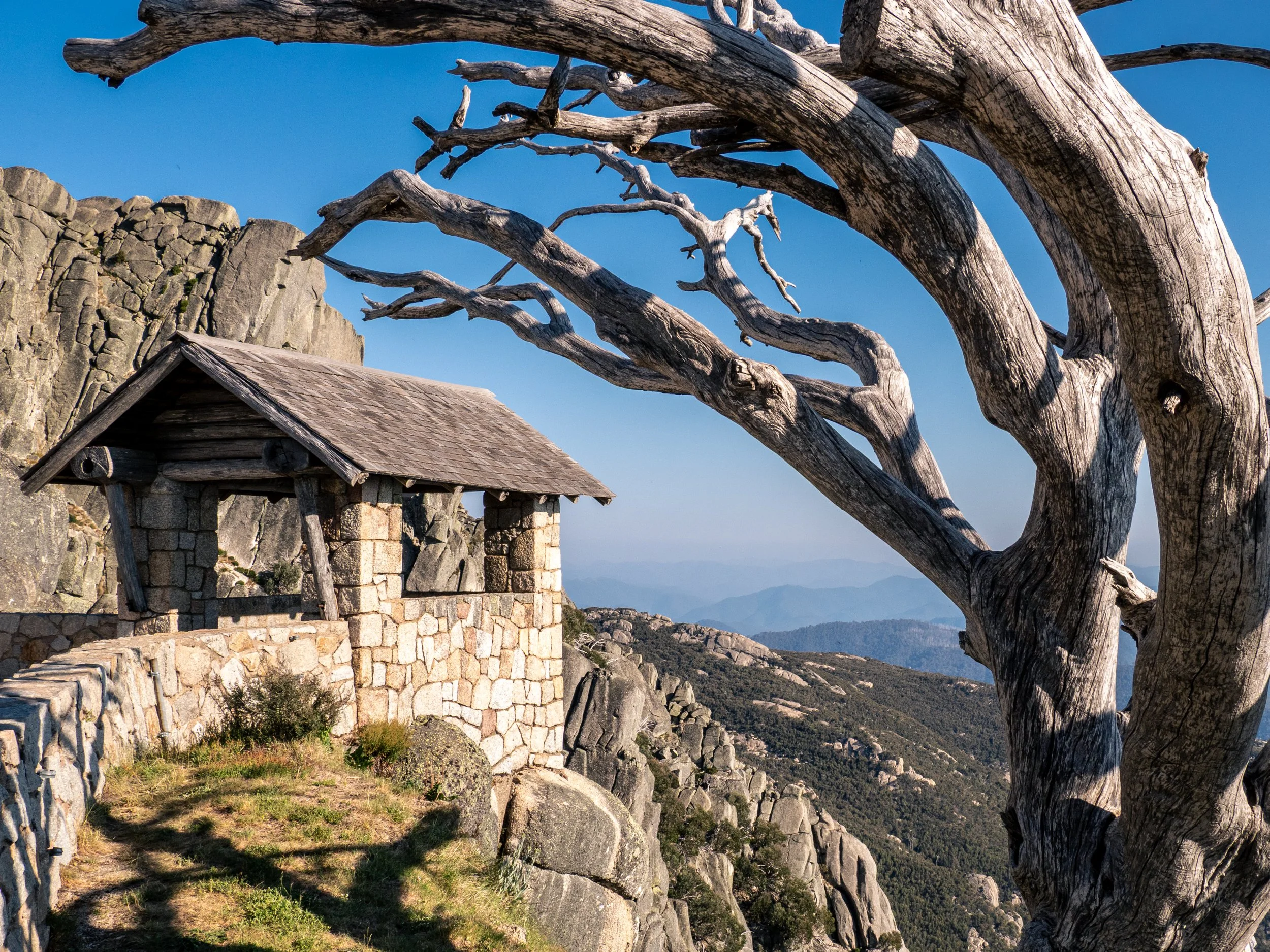 The Horn20191226-OMD60092.jpg