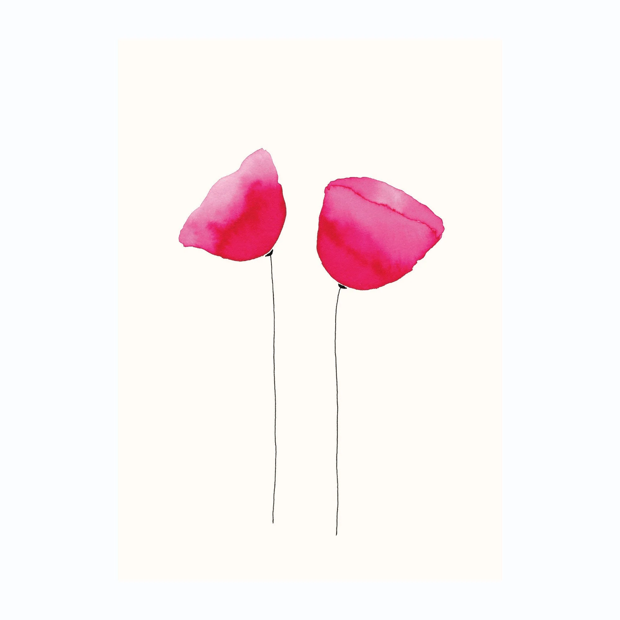 Deux-coquelicot.jpg