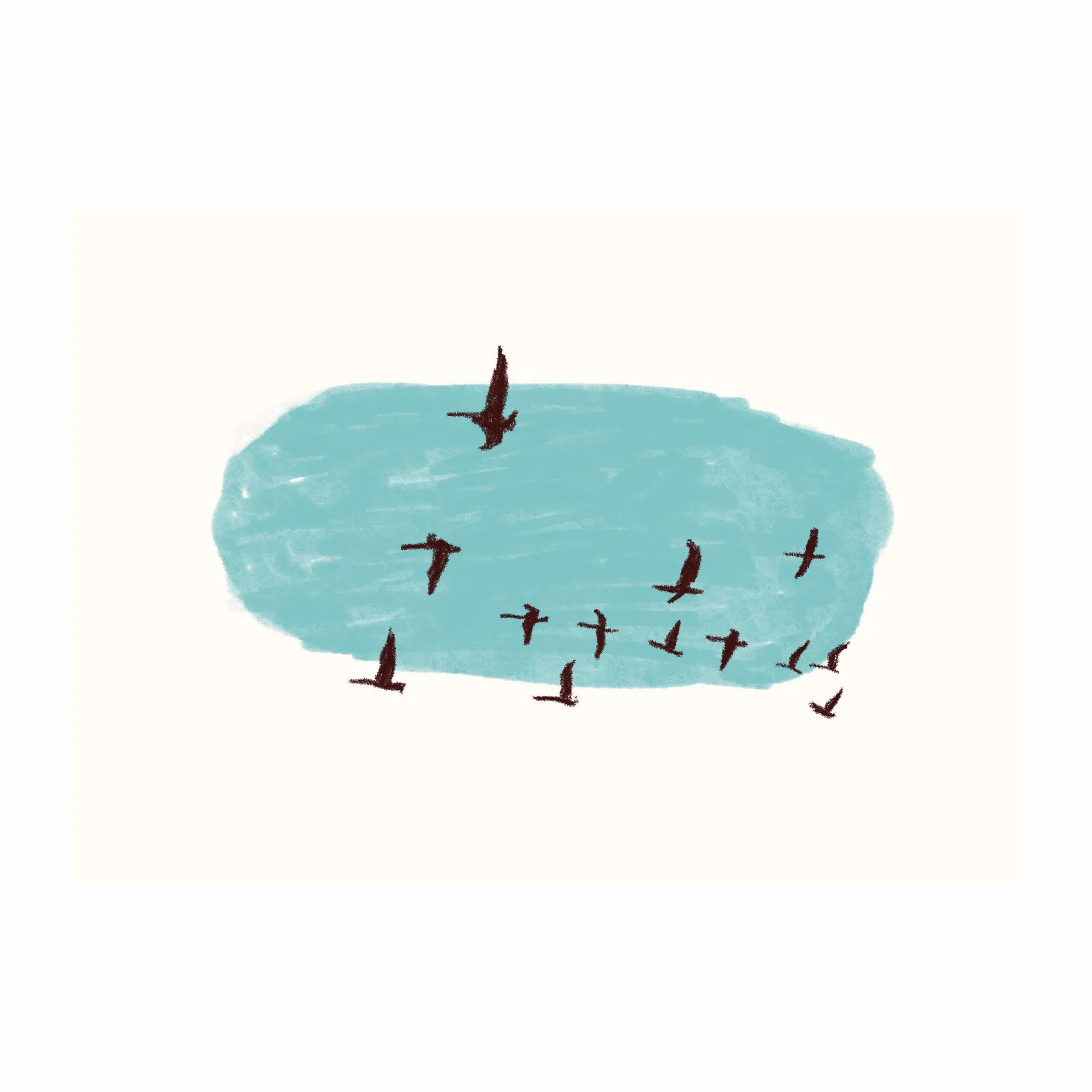 Oiseaux.jpg