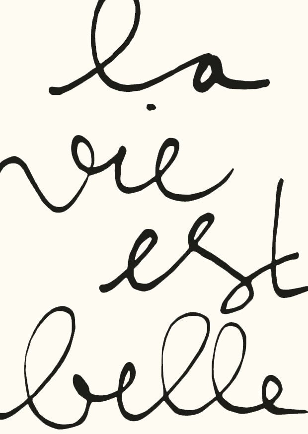 La vie est belle-1kopie.jpg