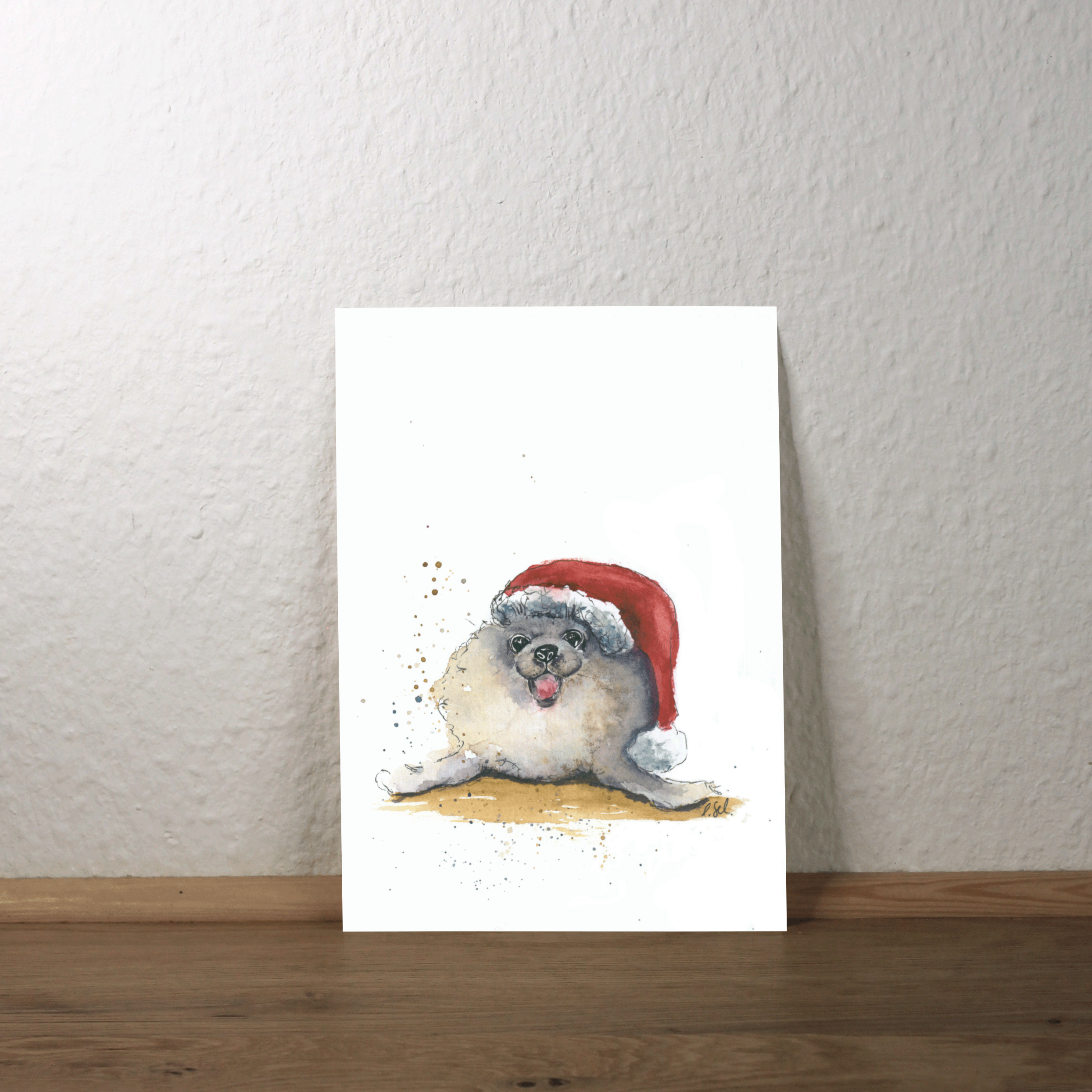 Seehund mit Weihnachtsmütze