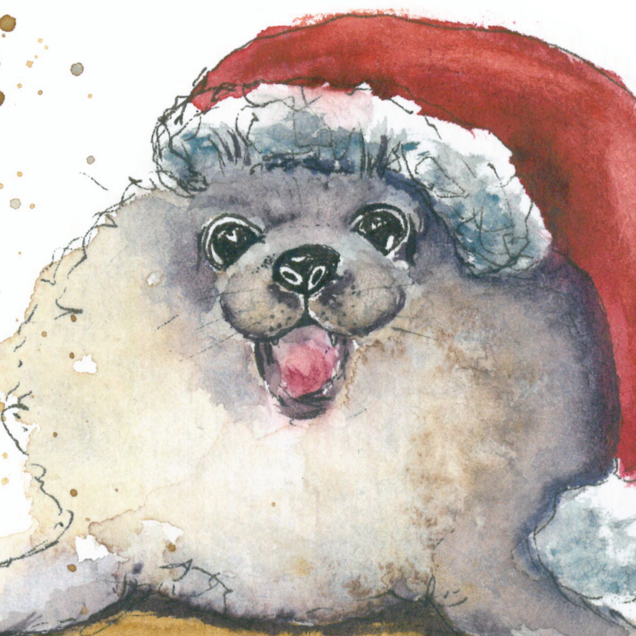 Seehund mit Weihnachtsmütze