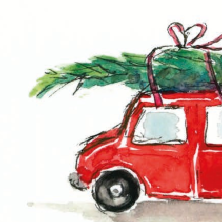 Nahaufnahme Auto mit Tannenbaum auf dem Dach