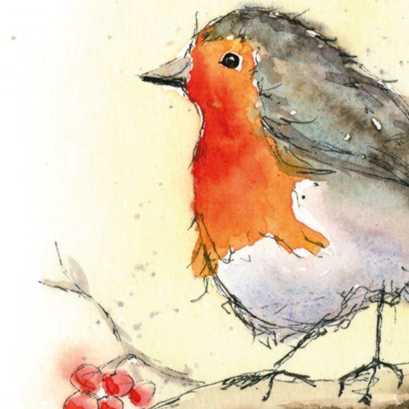 Rotkehlchen im Winter auf Ast als Postkarte