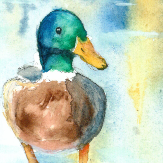 Nahaufnahme von Wintererpel.png