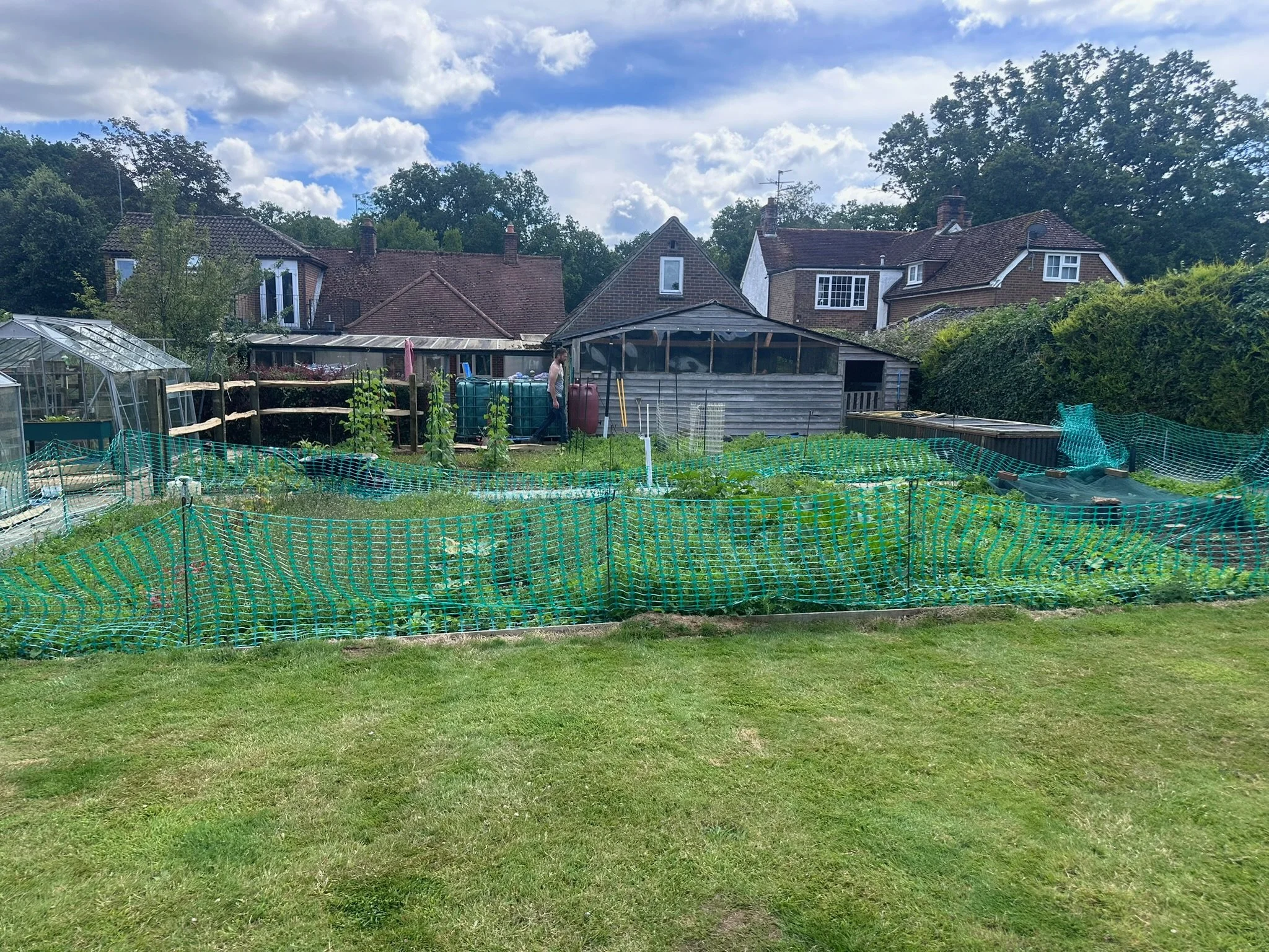 A backyard garden enclosed by green netting with plants and a shed, surrounded by houses with rooftops and trees under a partly cloudy sky.