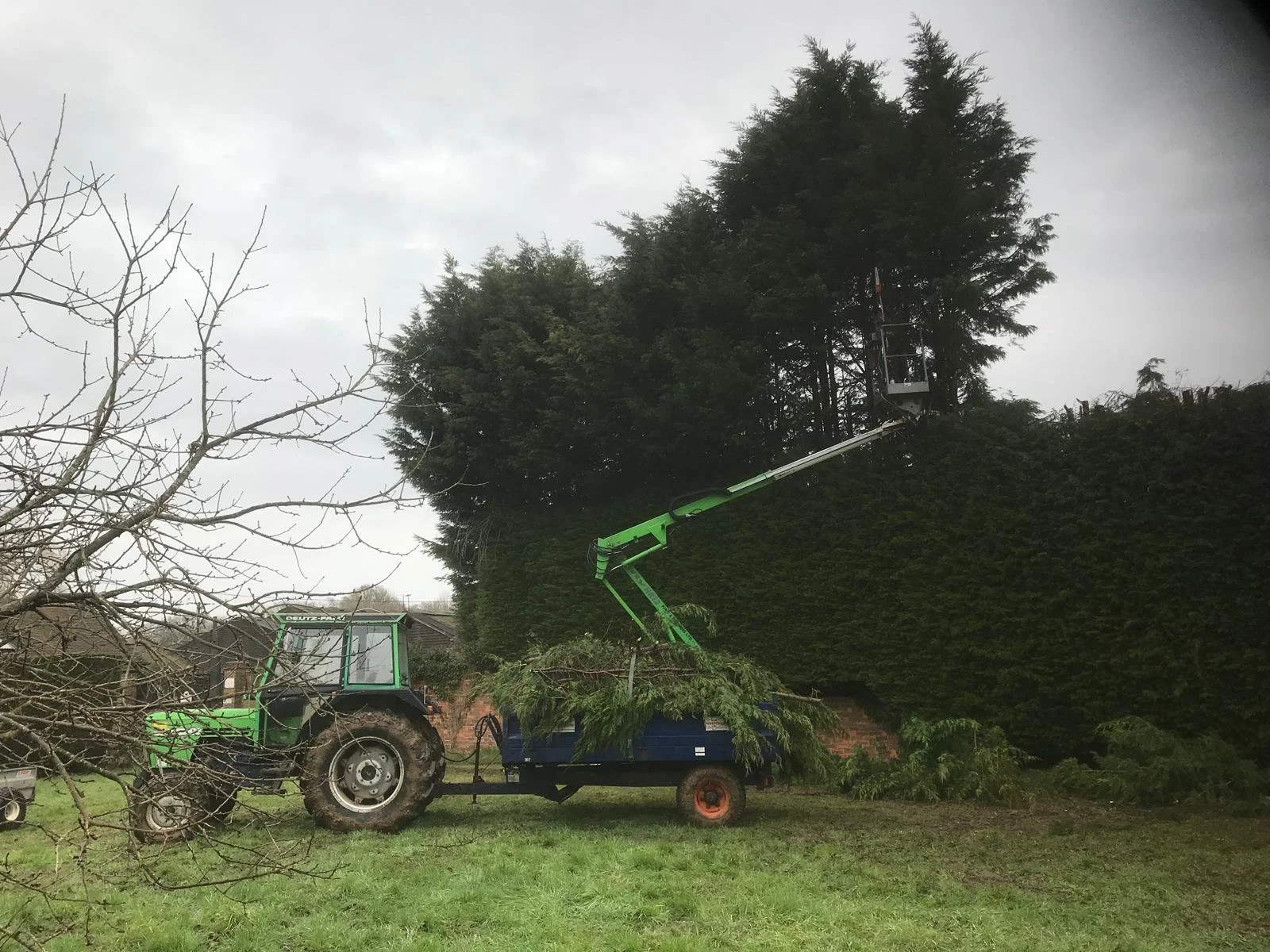 A green tractor with a hydraulic lift is cutting or trimming a large hedge using a cherry picker, with a tree and a cloudy sky in the background.