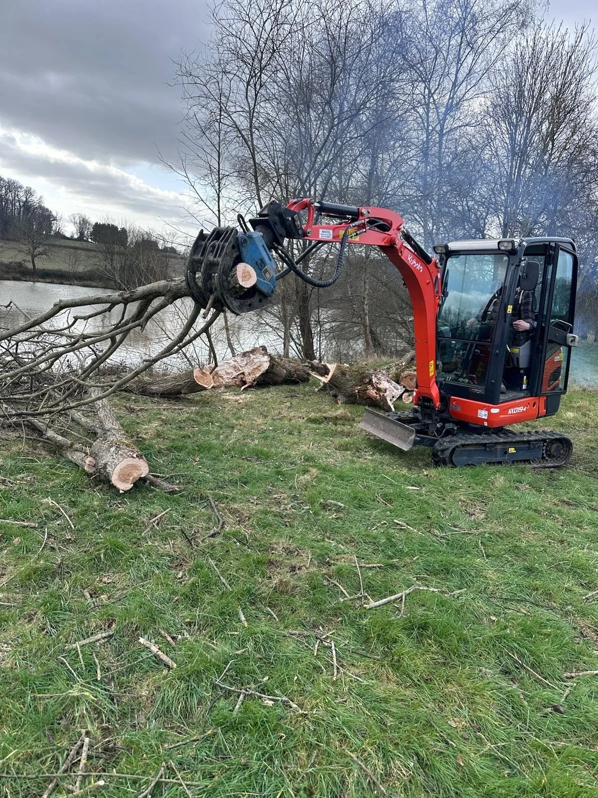 A small orange and black Kubota mini excavator with tracks cutting down a large tree near a body of water with bare trees in the background.