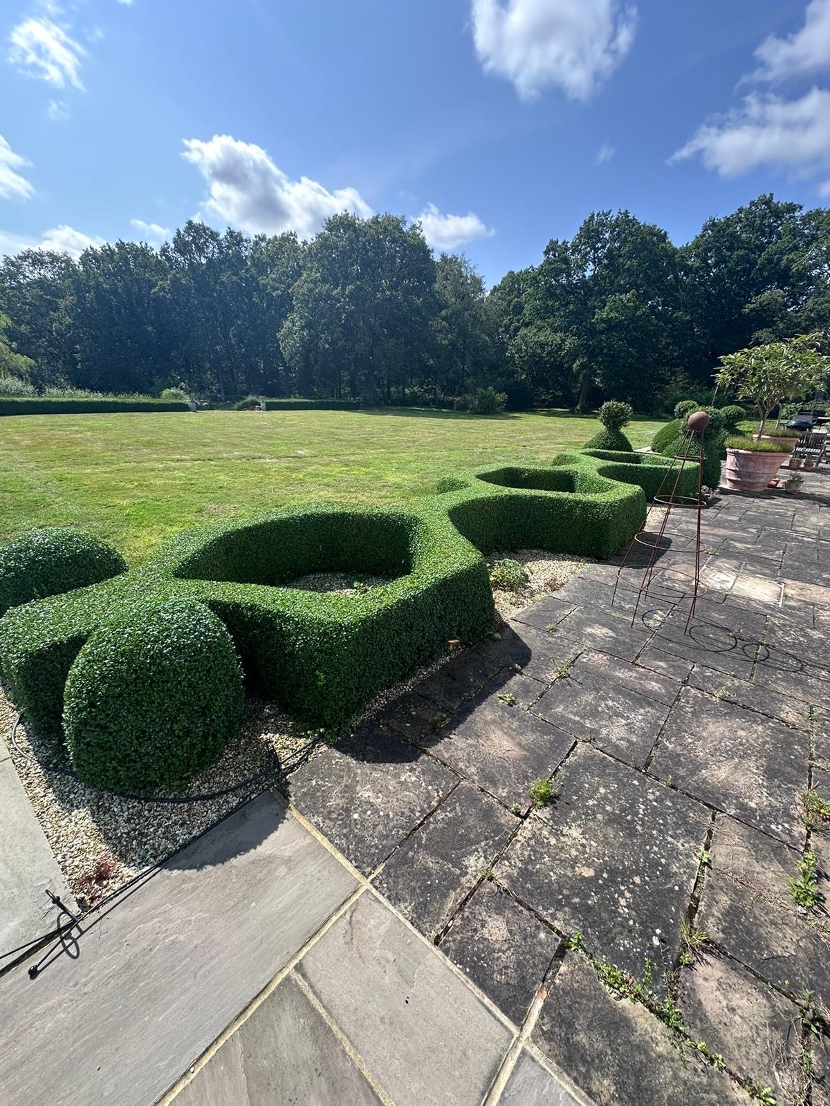 Well-manicured hedge bushes on a stone patio with a lawn and trees in the background under a partly cloudy blue sky.