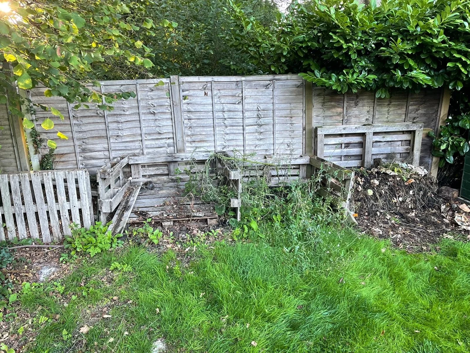 Overgrown backyard garden with wooden raised beds, weeds, and a wooden fence in the background.