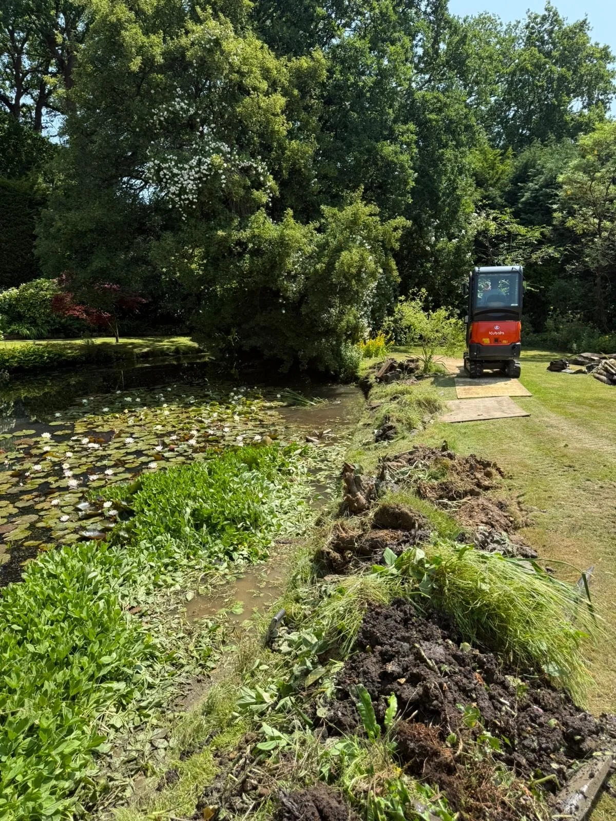 A pond with lily pads and green aquatic plants, surrounded by lush trees and grass, with a small construction machine and rocky area on a sunny day.