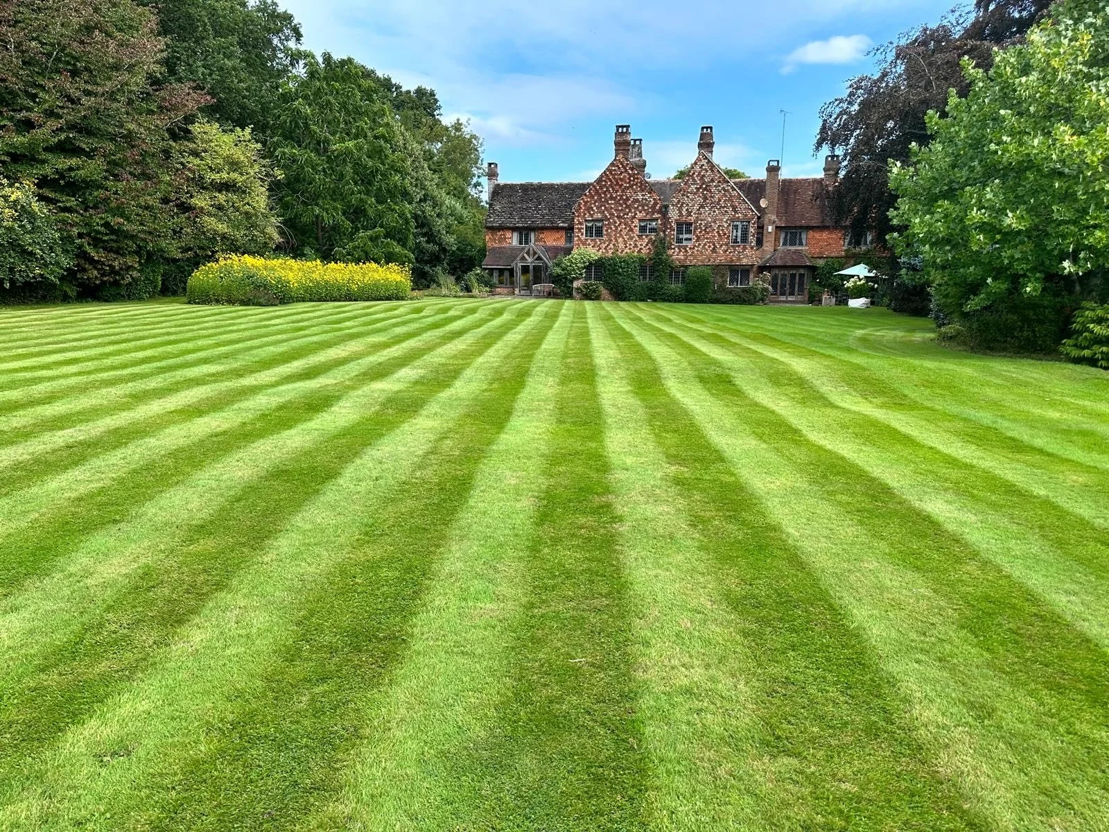 A large, well-maintained lawn with freshly mowed green grass and striped pattern, with a historic brick house and lush trees in the background.