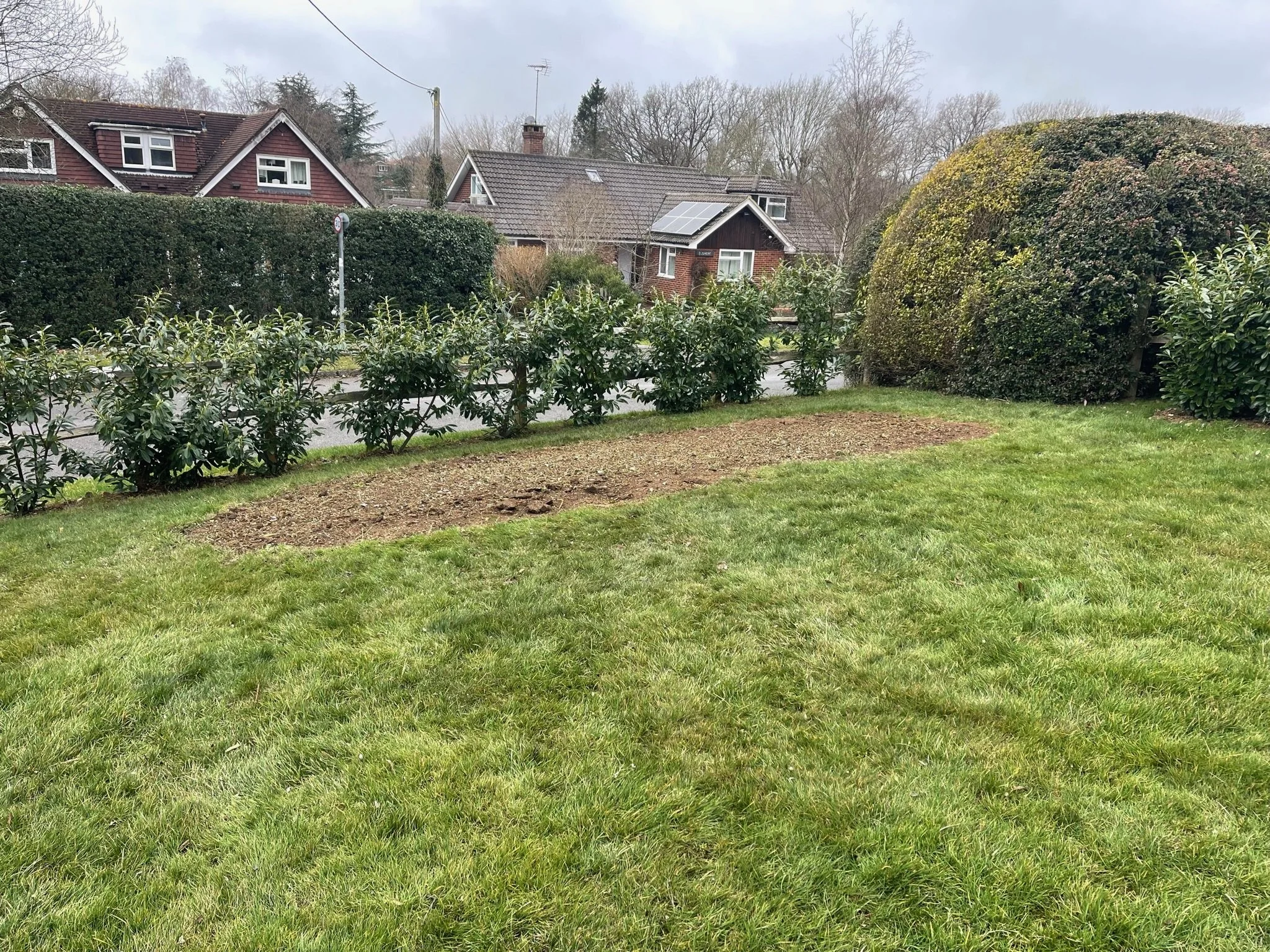 A backyard with green grass, shrubs, and a large bush. Houses with pitched roofs and solar panels are visible in the background. The sky is cloudy.