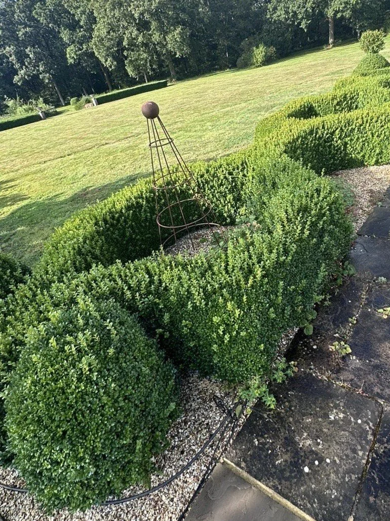 Decorative garden with neatly trimmed hedges, a metal garden obelisk, and a spacious lawn in the background.