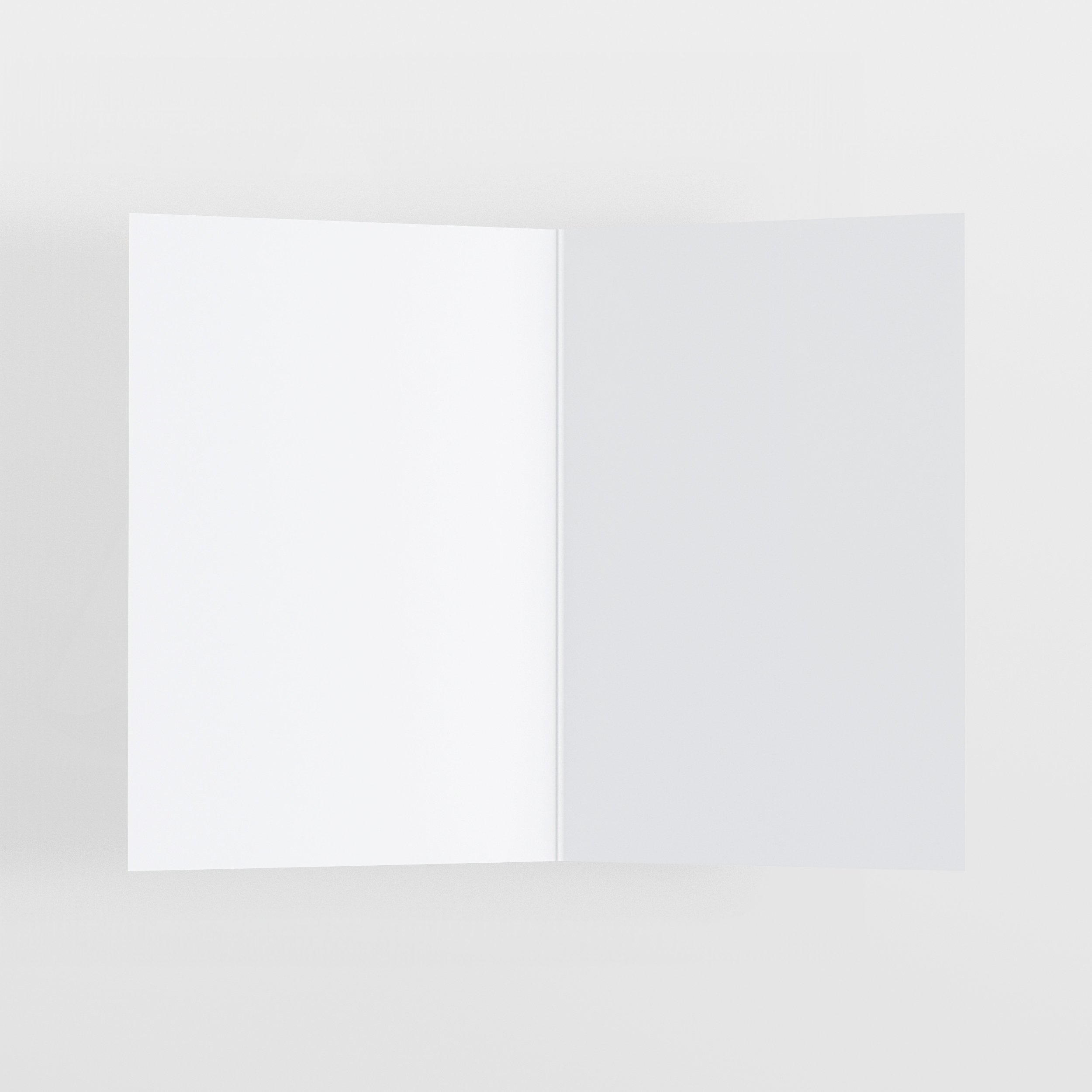 LCDM_SKI_2.jpg (Copy)