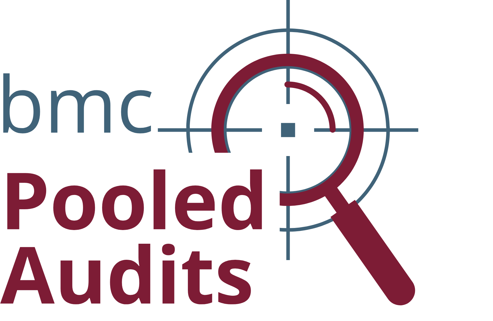 Grafik mit einer Zielscheibe, einer Lupe und den Worten «bmc», «Pooled», «Audits»