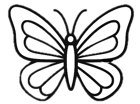 Black and white outline of a butterfly with detailed wings.