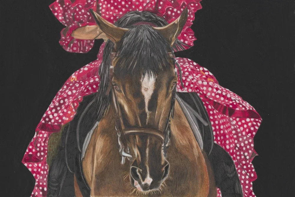 Horse-Spanish-Coloured-Pencil-Drawing.jpg